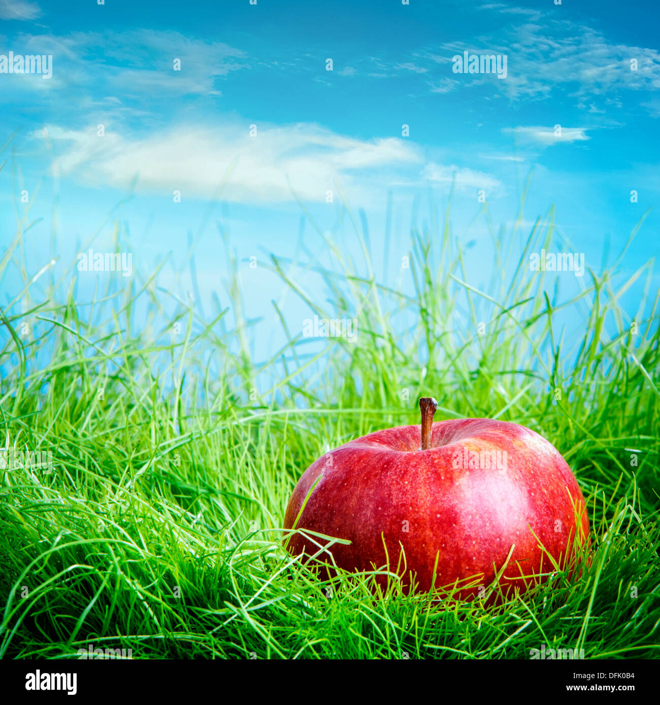 Pomme rouge sur l'herbe verte Banque D'Images