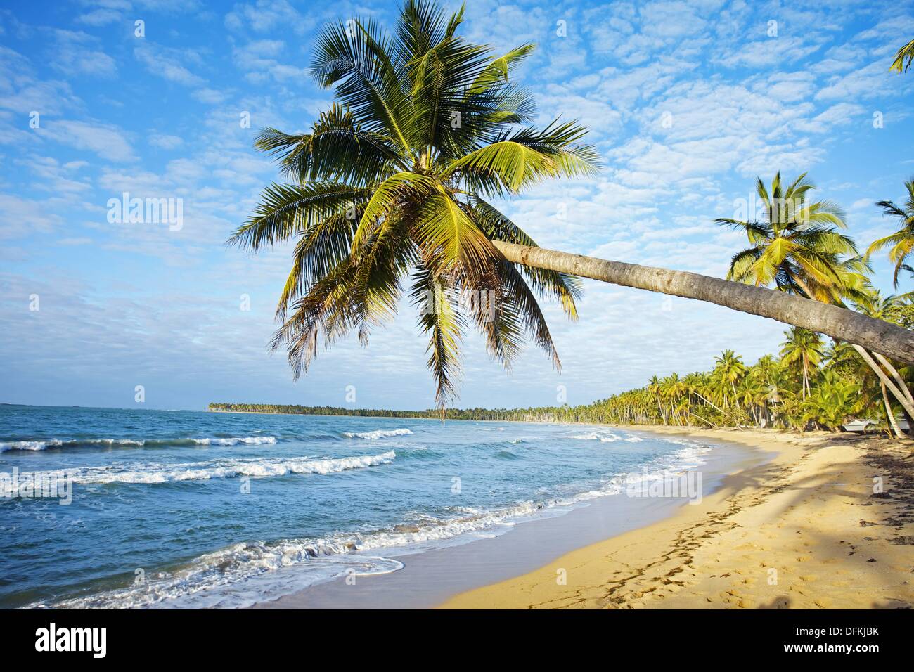Playa Bonita. Las Terrenas. La péninsule de Samana. République dominicaine.  West Indies. Des Caraïbes Photo Stock - Alamy