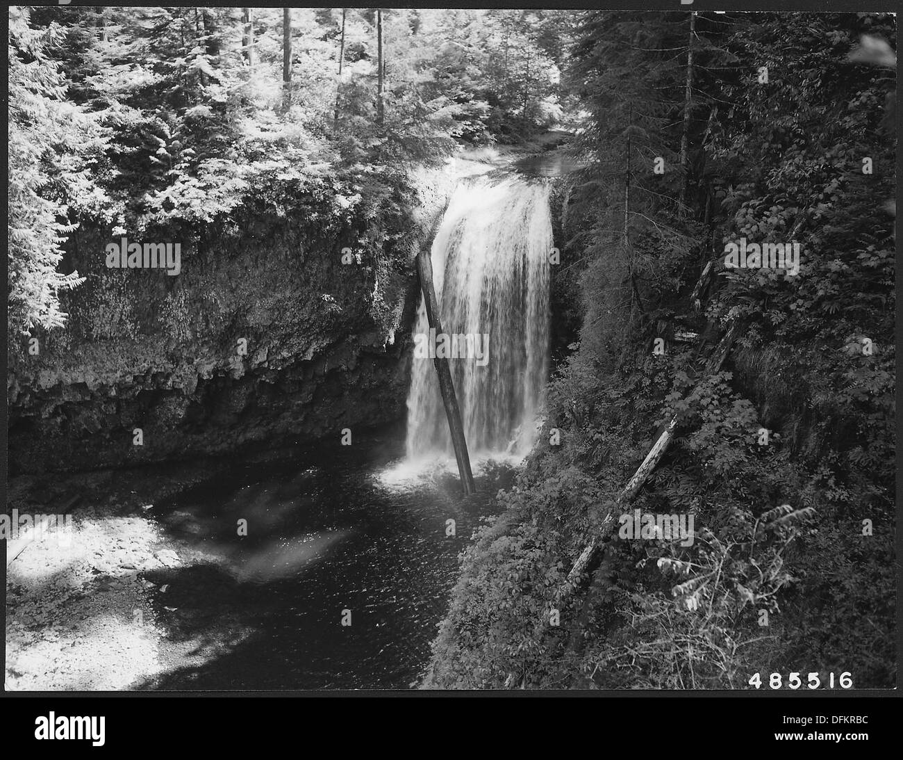Lower South Fork Clackamas River Falls, Mount Hood National Forest, North Carolina, 1957. 299090 Banque D'Images