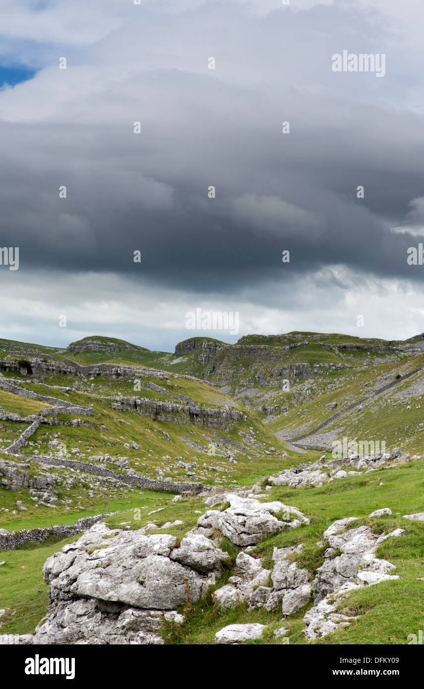 À l'échelle du Malham Lings de Malham Cove, dans le Yorkshire Dales National Park, North Yorkshire, England, UK Banque D'Images