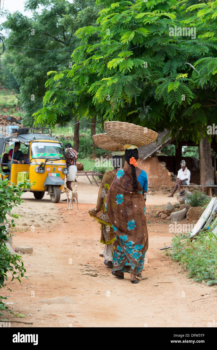 Les femmes indiennes marche dans un village de l'Inde rurale portant des paniers sur leur tête. L'Andhra Pradesh, Inde Banque D'Images