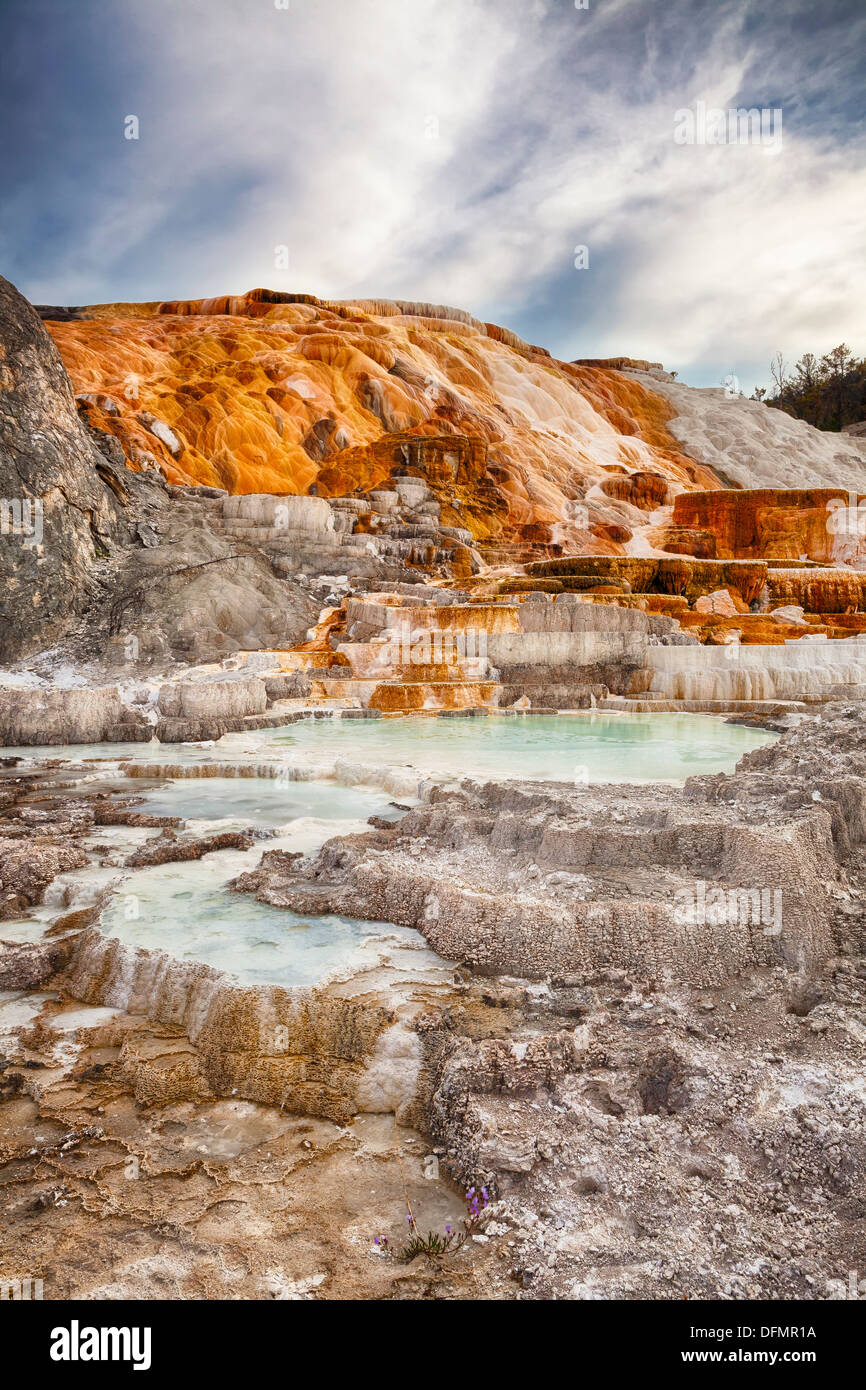 Au printemps la palette de Mammoth Hot Springs, Parc National de Yellowstone, Wyoming Banque D'Images