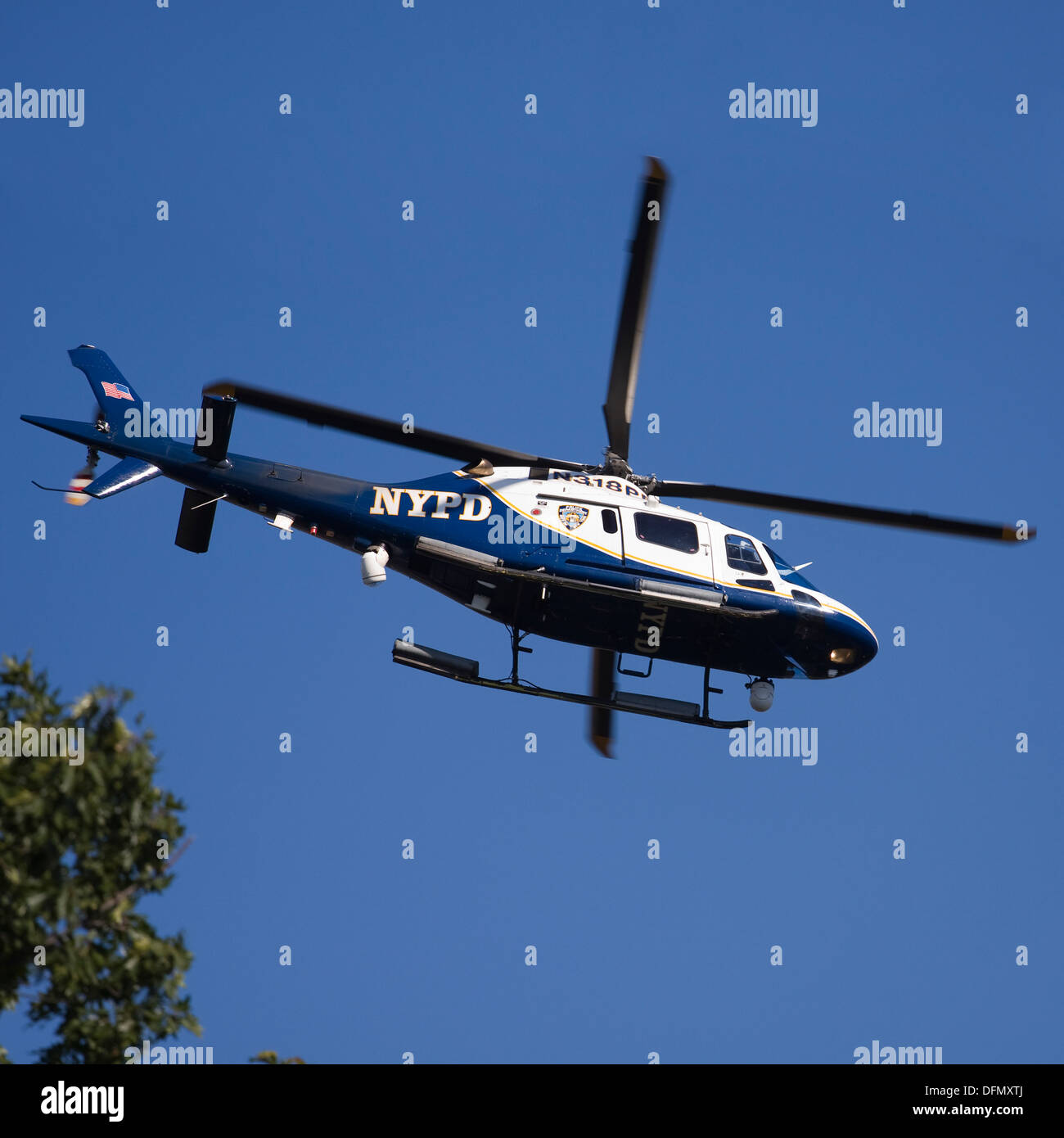 New York City Police Department's Agusta / Agusta-Bell 119 Un hélicoptère Koala planant au-dessus de la cime des arbres Banque D'Images