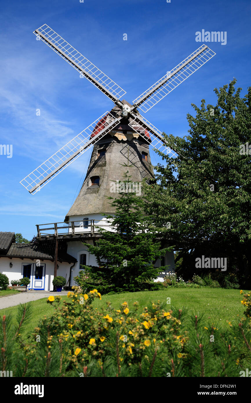 Dans Groedersby chlei, moulin à vent, mer Baltique, Schleswig-Holstein, Allemagne Banque D'Images