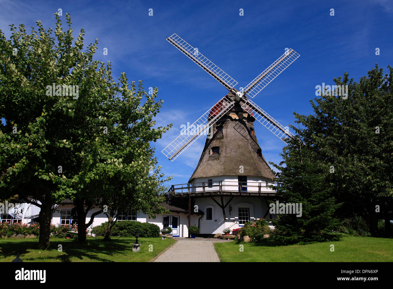 Winmill à Groedersby, Schlei, mer Baltique, Schleswig-Holstein, Allemagne Banque D'Images