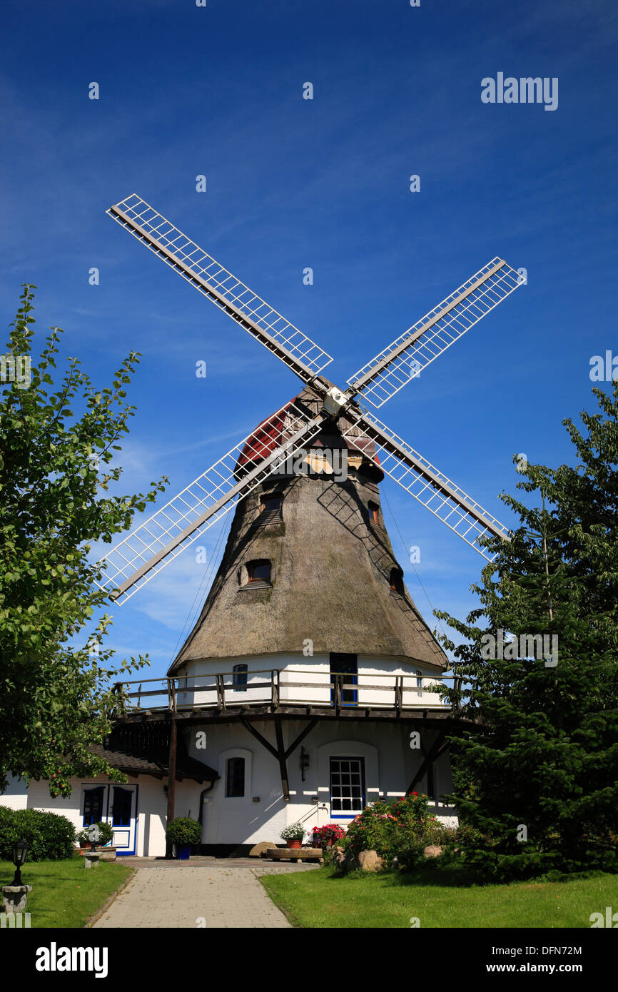 Winmill à Groedersby, Schlei, mer Baltique, Schleswig-Holstein, Allemagne Banque D'Images