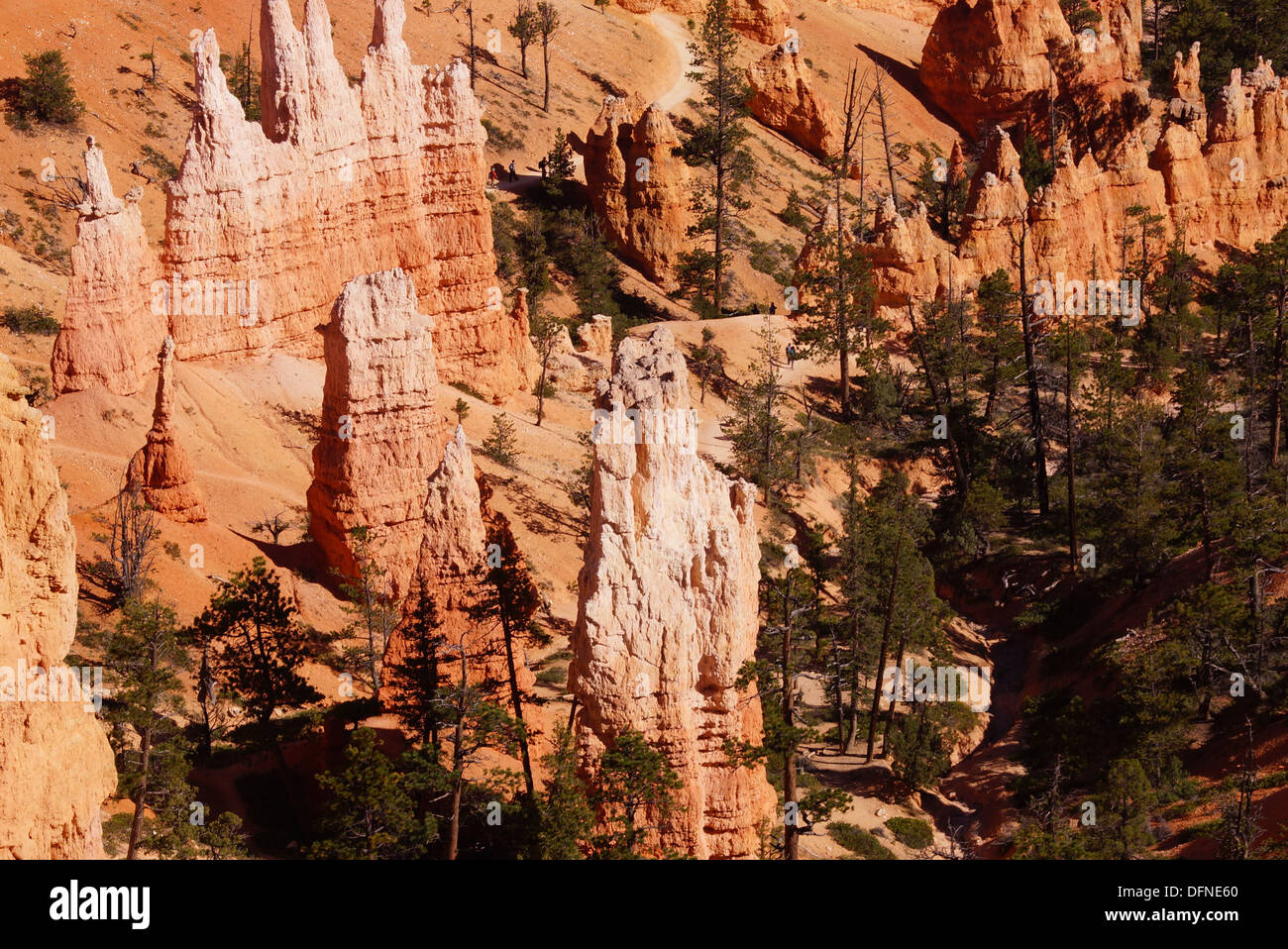 Grès délicat dans de nombreux pinacles ligne couleurs le canyon de Bryce Canyon National Park, Utah Banque D'Images