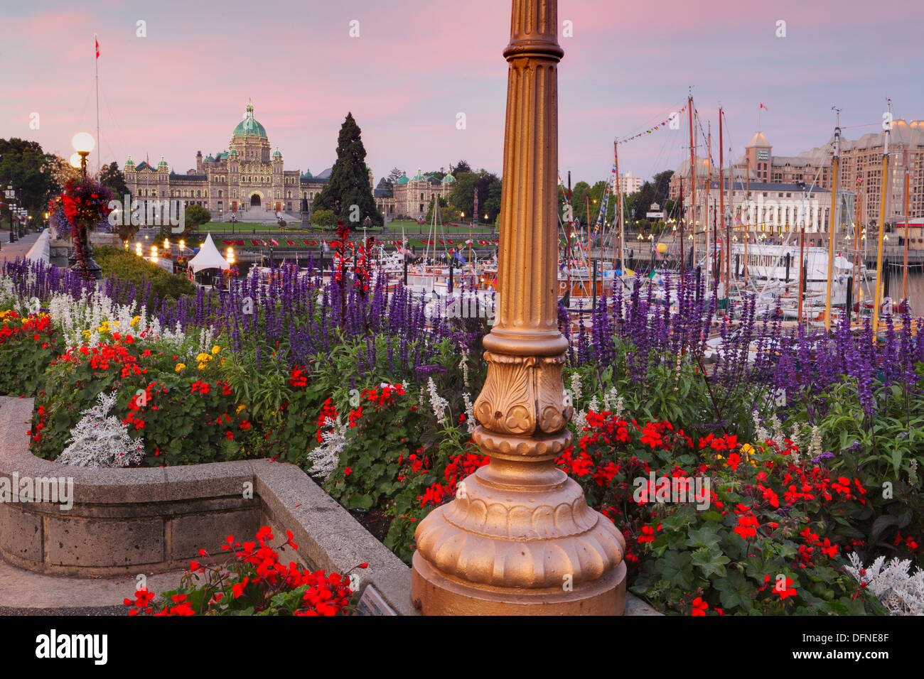 Affichage de fleurs et des édifices législatifs à l'aube-Victoria, Colombie-Britannique, Canada. Banque D'Images