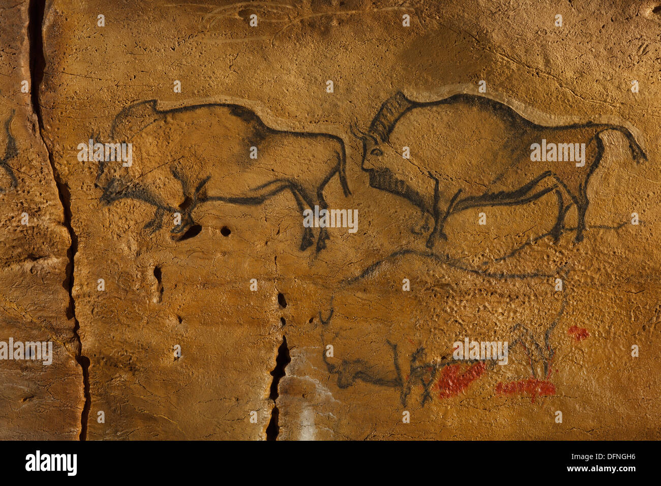 Bisons, Peinture préhistorique, art pariétal, environ 15000 BC, Covaciella, Asturies, réplique, Parque de la Préhistoire de Arjeplog, Banque D'Images