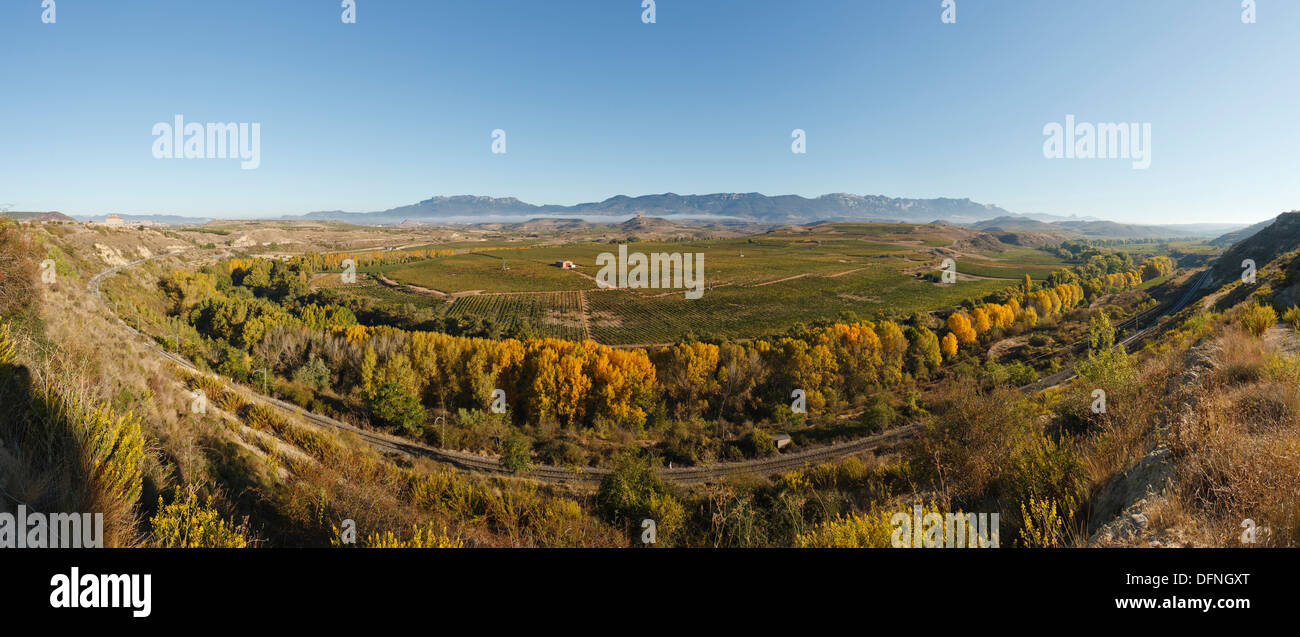 Ligne de chemin de fer le long de la rivière Èbre, Rio Ebro, vignes, près de Haro, automne, La Rioja, dans le Nord de l'Espagne, l'Espagne, Europe Banque D'Images