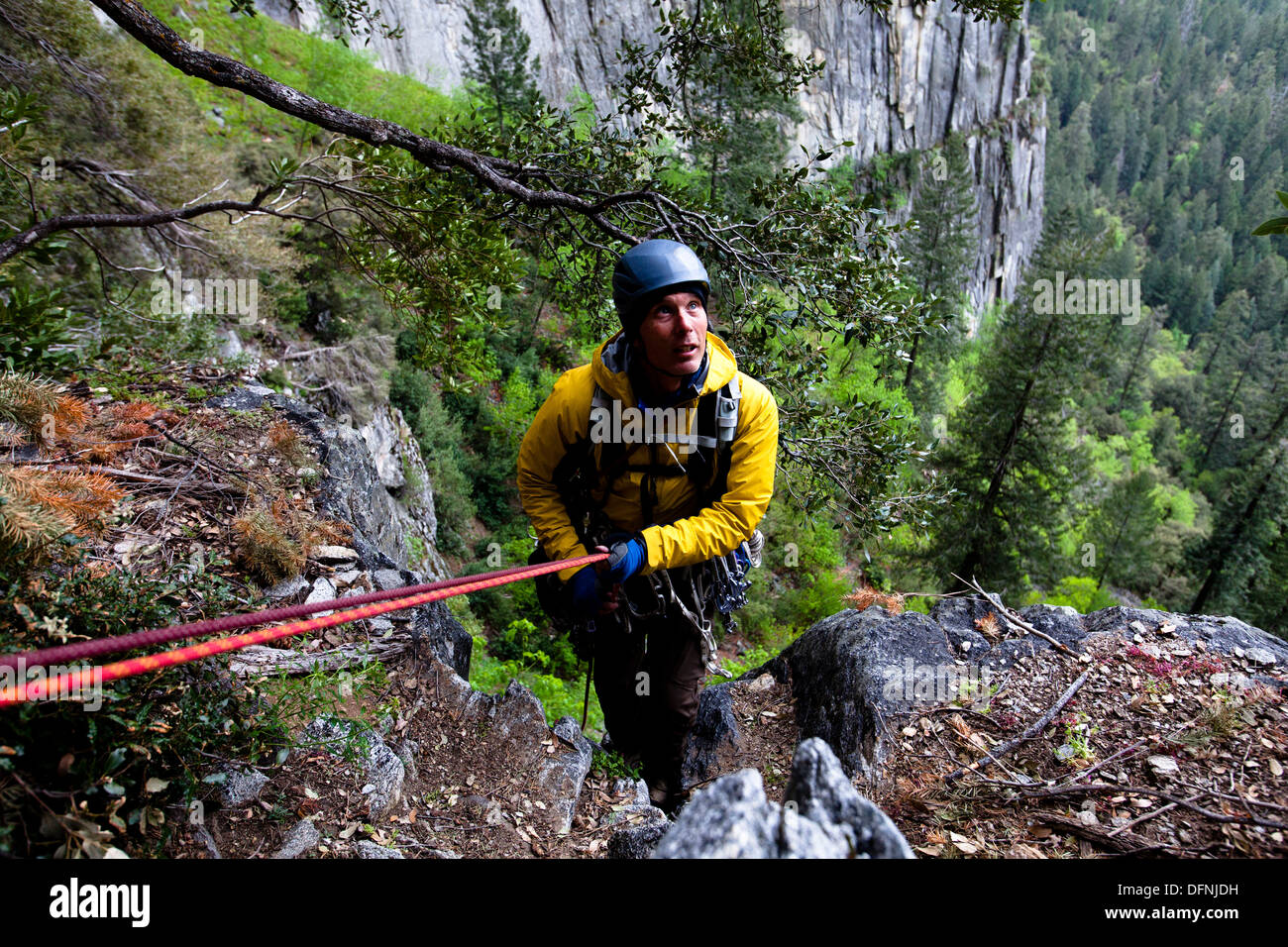 Un grimpeur mâle rappels au large de la Tour de Pise dans la région de Yosemite National Park, en Californie. Banque D'Images