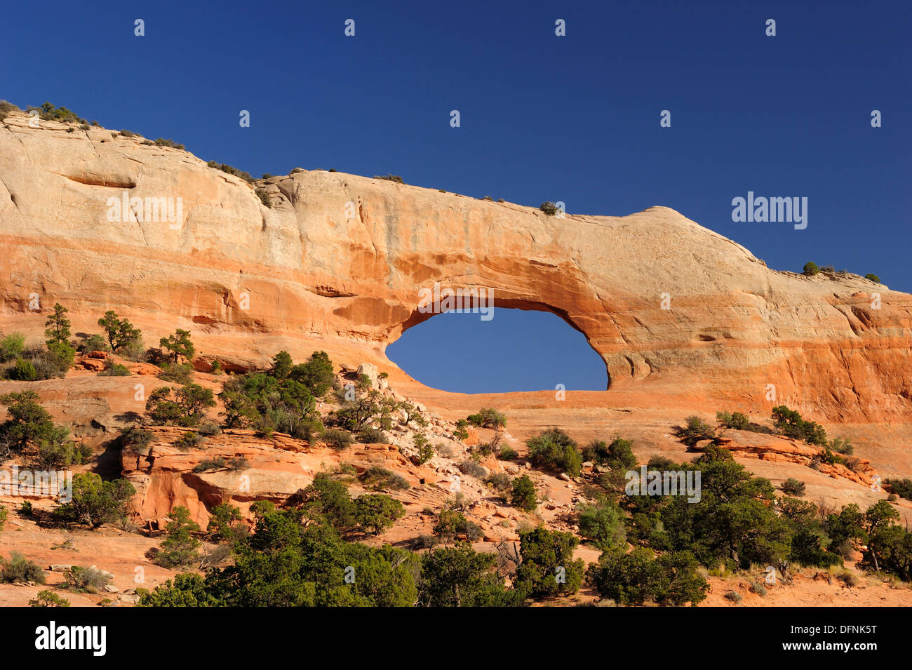 Avis de Wilson Arch, Moab, Utah, USA, Amérique du Sud-ouest, Banque D'Images