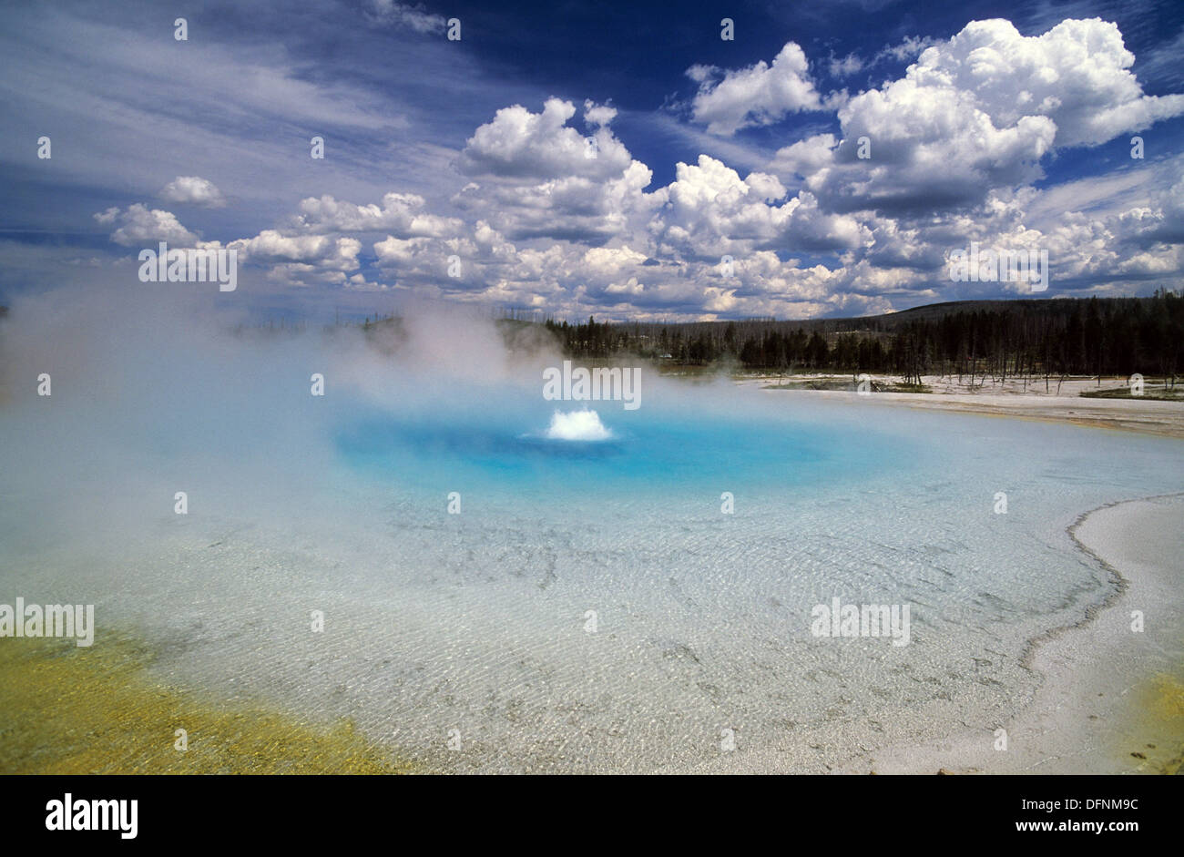 Elk265-1498 le Parc National de Yellowstone, Wyoming, sable noir, du bassin du lac au coucher du soleil Banque D'Images