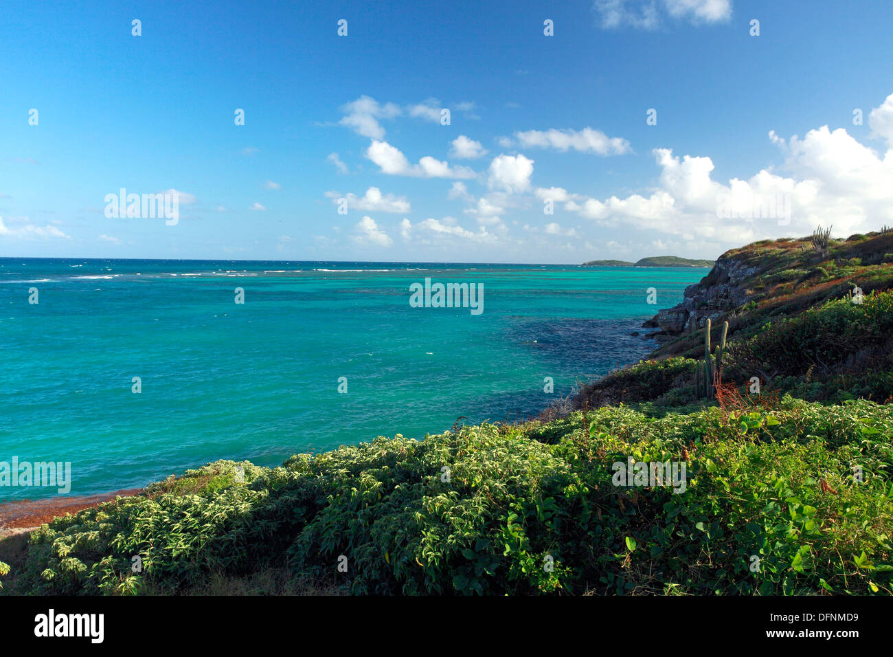 Vue sur la côte atlantique, Antigua, Antilles, Caraïbes, Amérique Centrale, Amérique Latine Banque D'Images