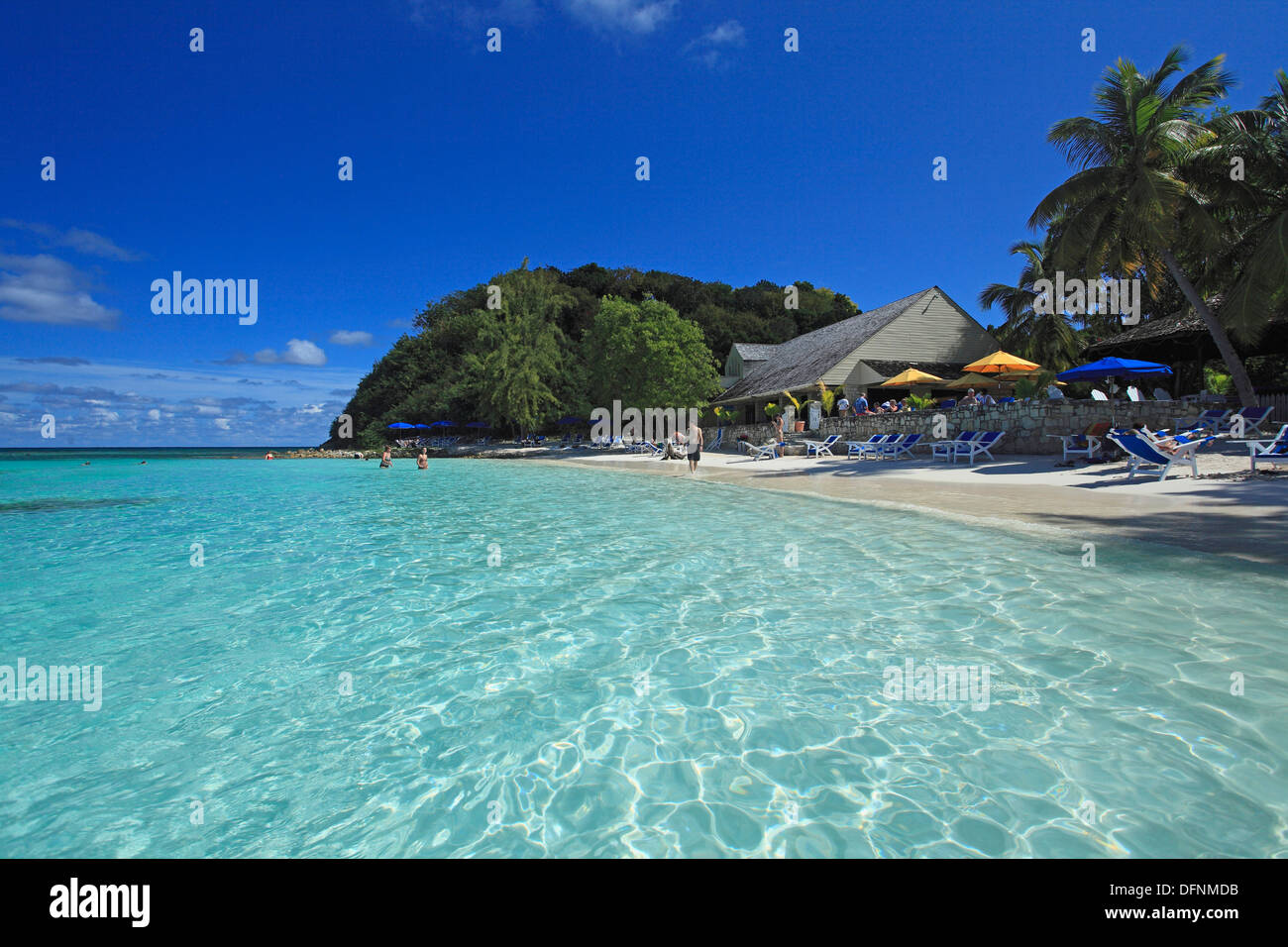 Les gens sur l'Ananas, Antigua, Antilles, Caraïbes, Amérique Centrale, Amérique Latine Banque D'Images