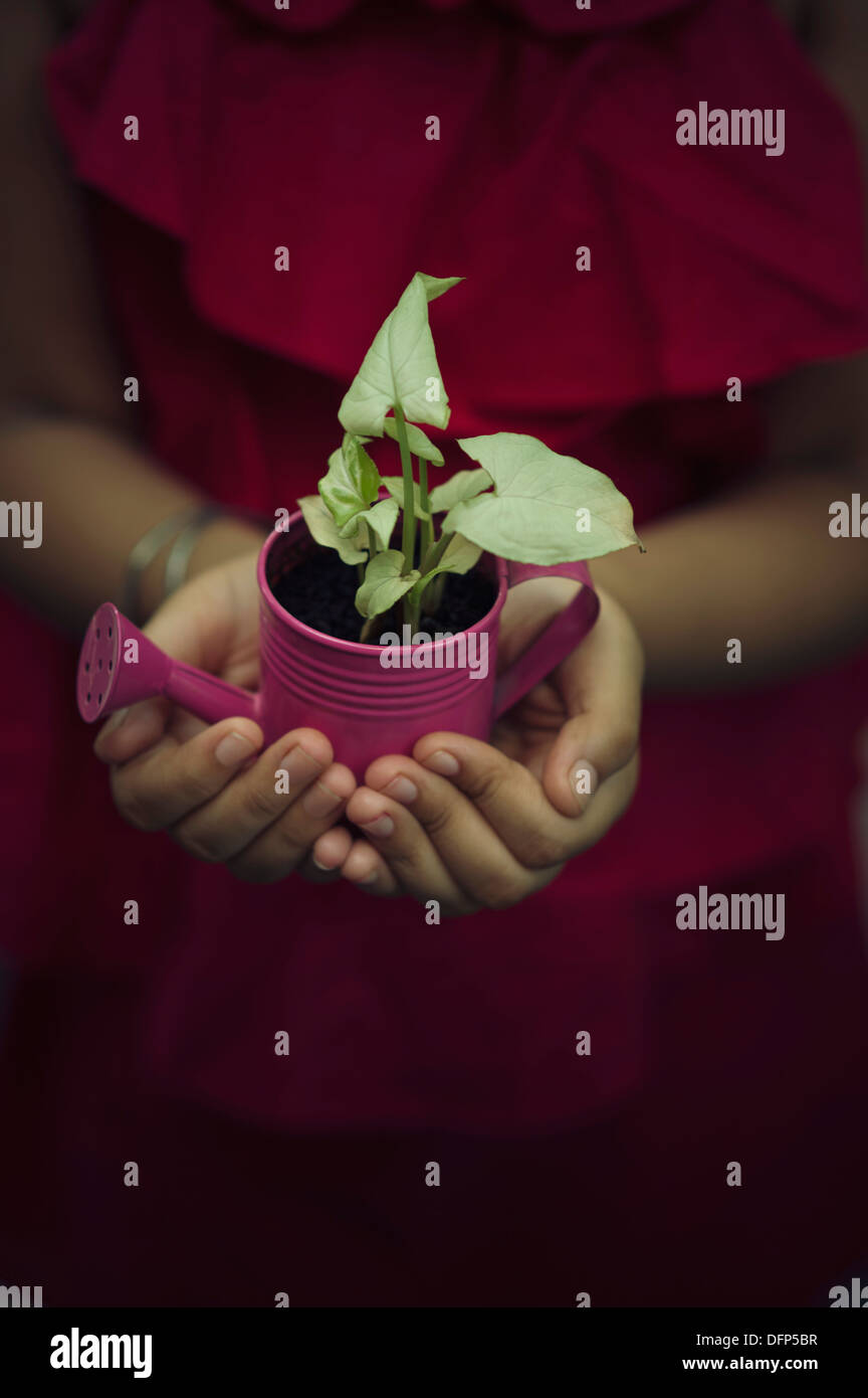 Midsection view of a Girl holding a potted plant Banque D'Images