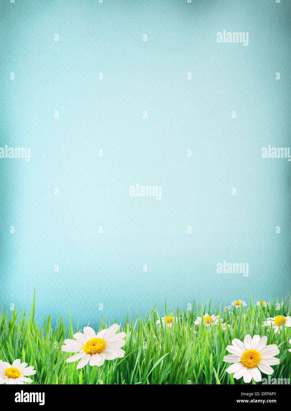 Papier couleur de l'eau bleu bordé d'herbes et de fleurs par le côté. Banque D'Images