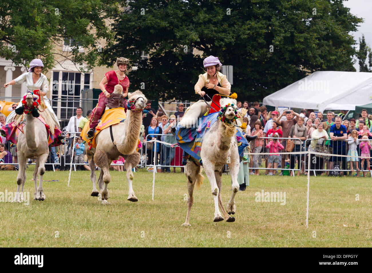Les courses de chameaux, Lambeth pays montrent, England, UK Banque D'Images