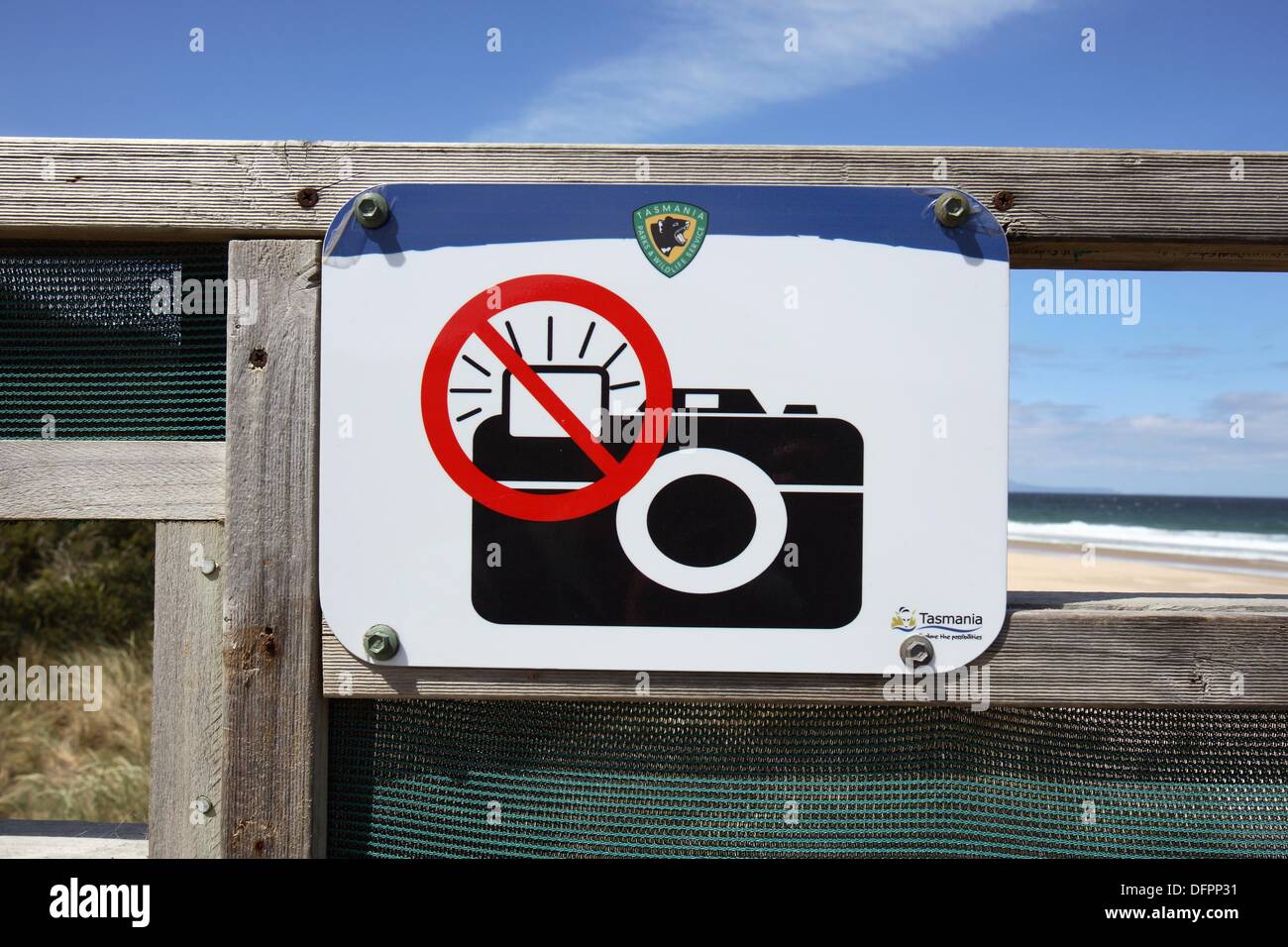 "Pas de flash" signe la photographie à Little Penguin colony Bruny Island, Tasmanie, Australie Banque D'Images