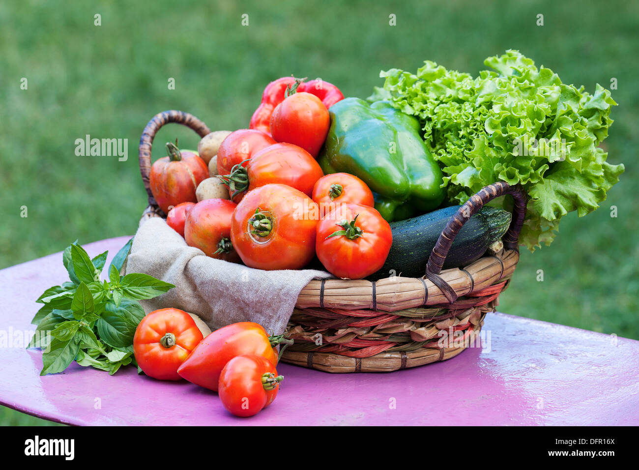 Des légumes sur une table dans un jardin sous la lumière du soleil Banque D'Images