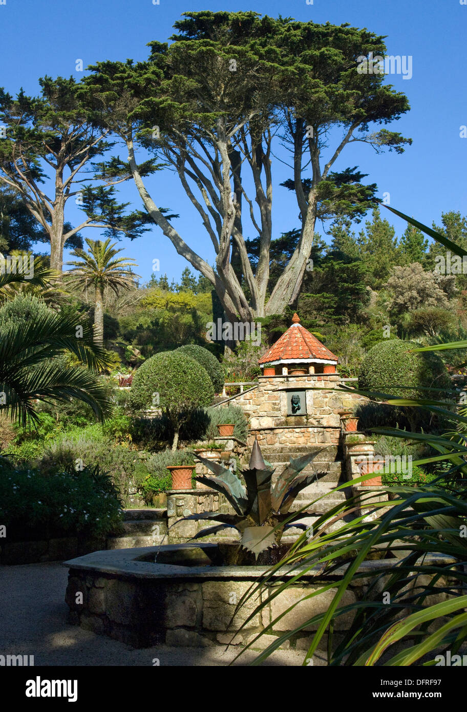 Dans les îles Scilly Tresco, Cornwall, UK, montrant les jardins de l'abbaye de Tresco et une plage avec deux cygnes tuberculés. Banque D'Images