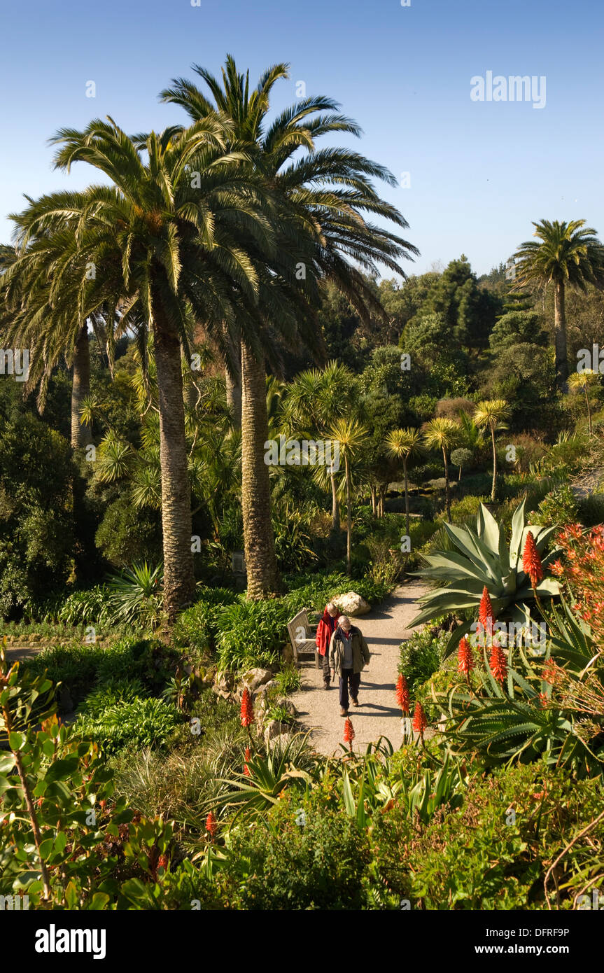Dans les îles Scilly Tresco, Cornwall, UK, montrant les jardins de l'abbaye de Tresco et une plage avec deux cygnes tuberculés. Banque D'Images