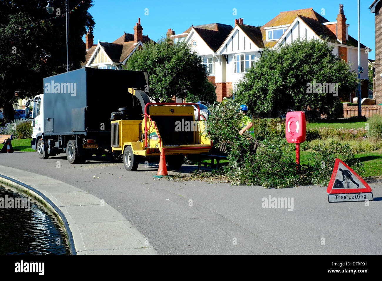 Le déchiquetage des ouvriers dans les branches des arbres après la coupe de la machine Banque D'Images