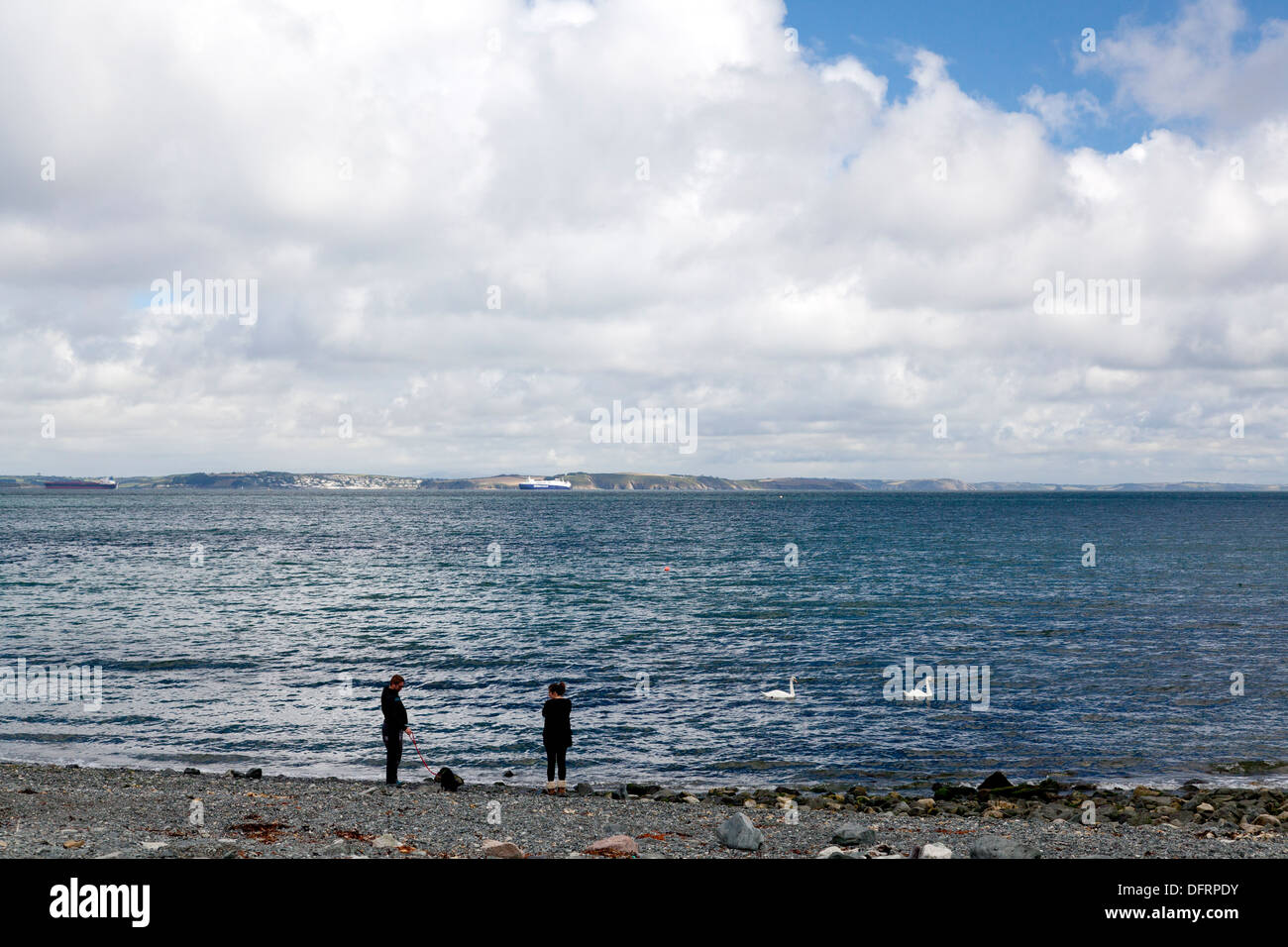 Couple et chien sur la plage au bord de l'eau, Porthallow, Cornwall Banque D'Images