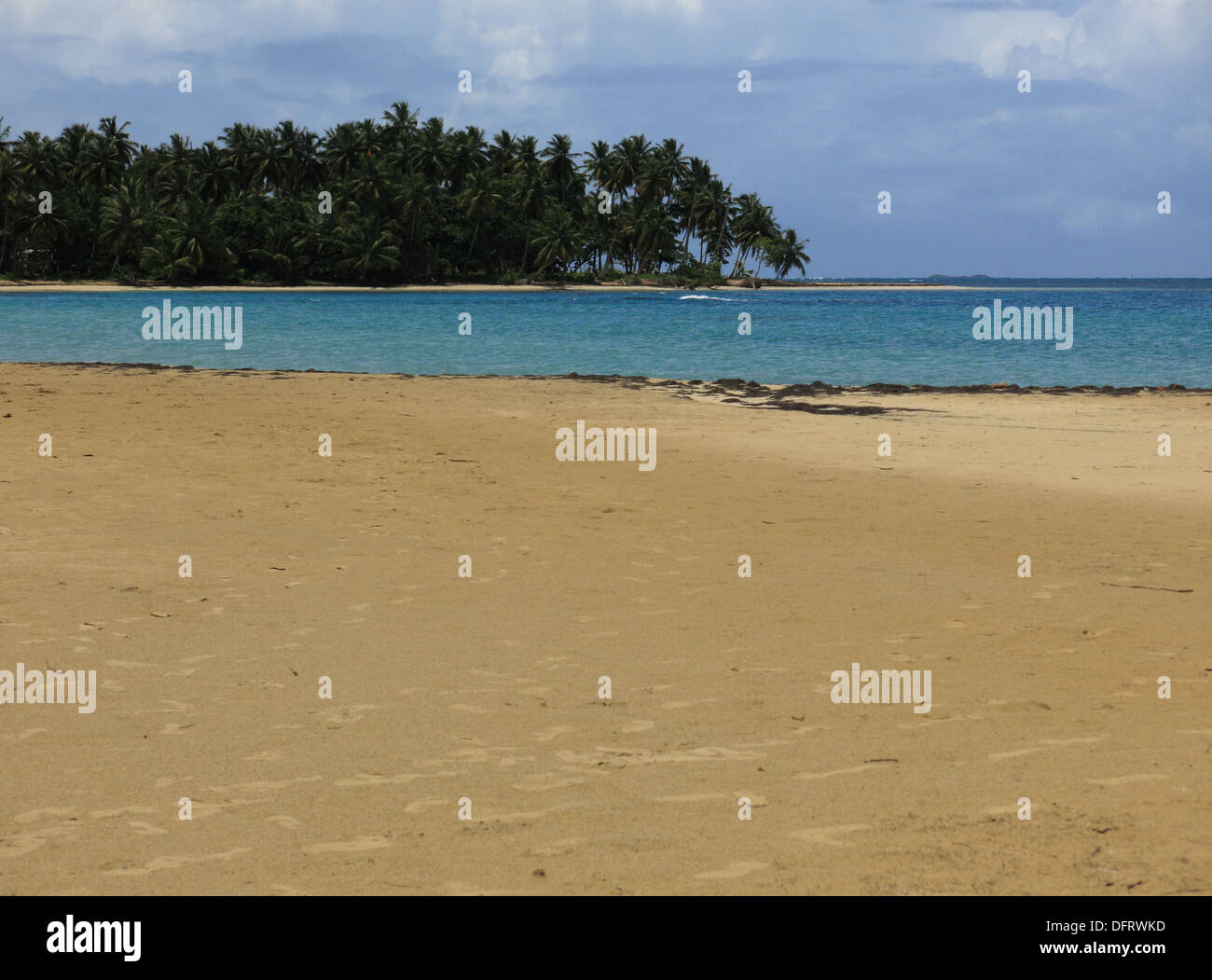 Tropical Beach et Ocean View image carte postale, Samana, République dominicaine, Septembre 2013 Banque D'Images