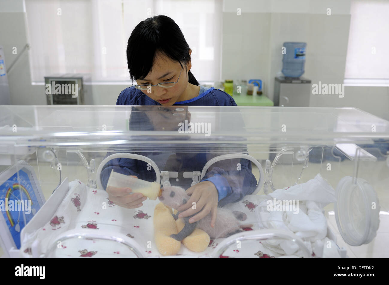 Keeper Biberon Un Bebe De 3 Semaines Panda Ailuropoda Melanoleuca A Bifengxia De Selection Et De Conservation Du Panda Geant Photo Stock Alamy Keeper Biberon Un Bebe De 3 Semaines Panda Ailuropoda Melanoleuca A Bifengxia De Selection Et De Conservation Du Panda Geant Photo Stock Alamy
