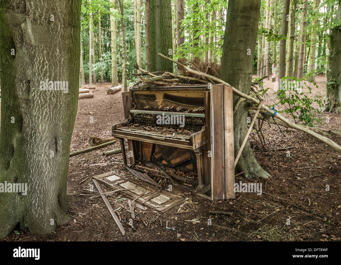 Abandonnée et broken piano laissé dans un bois. Banque D'Images