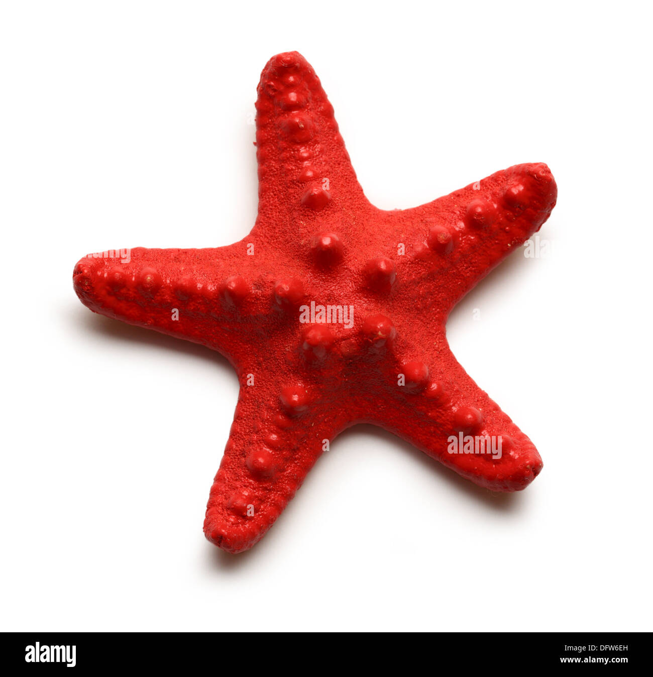 Étoile de mer sur fond blanc Banque D'Images