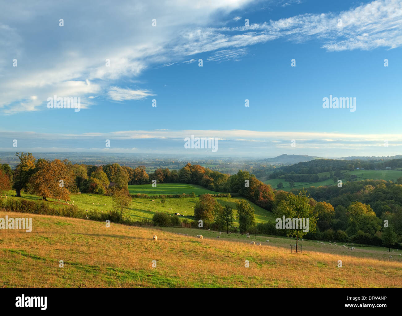Cotswolds rural Banque D'Images