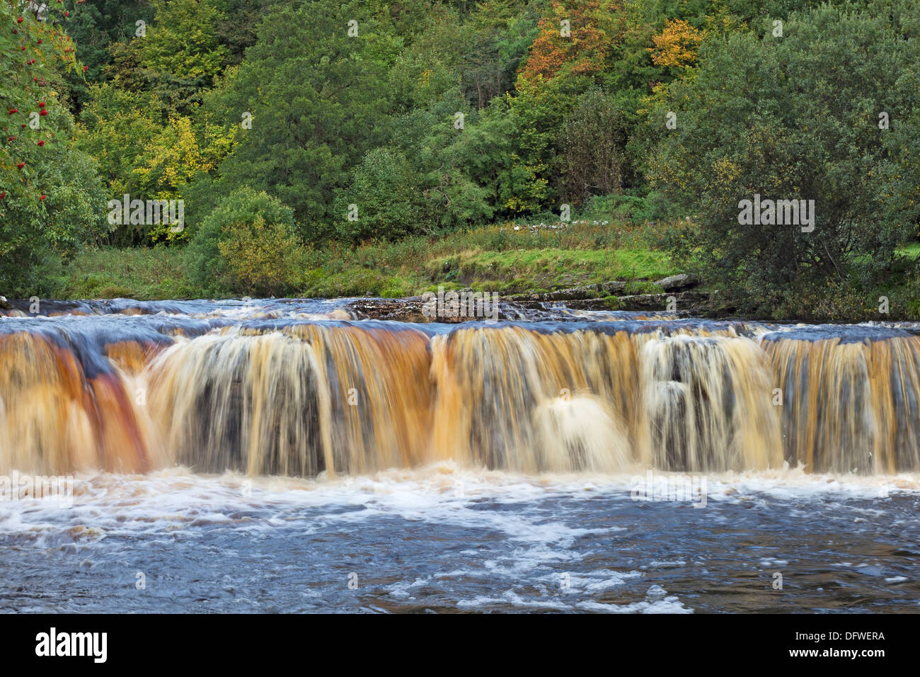 Le Wath Wain vigueur le la rivière Swale Swaledale Yorkshire Dales UK Banque D'Images