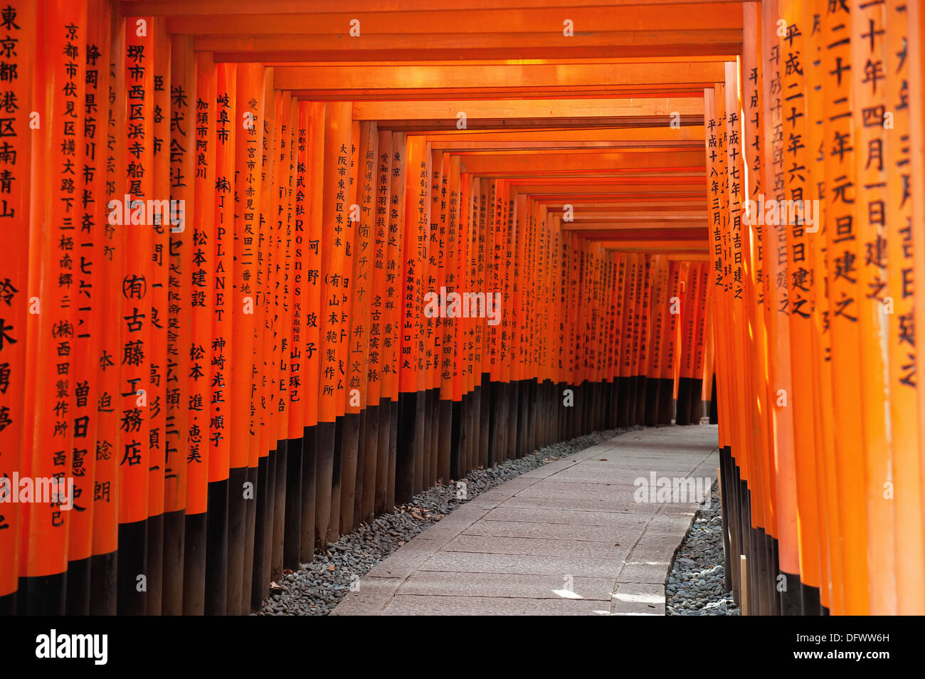 Tori rouge Gate au Sanctuaire Fushimi Inari à Kyoto, Japon Banque D'Images