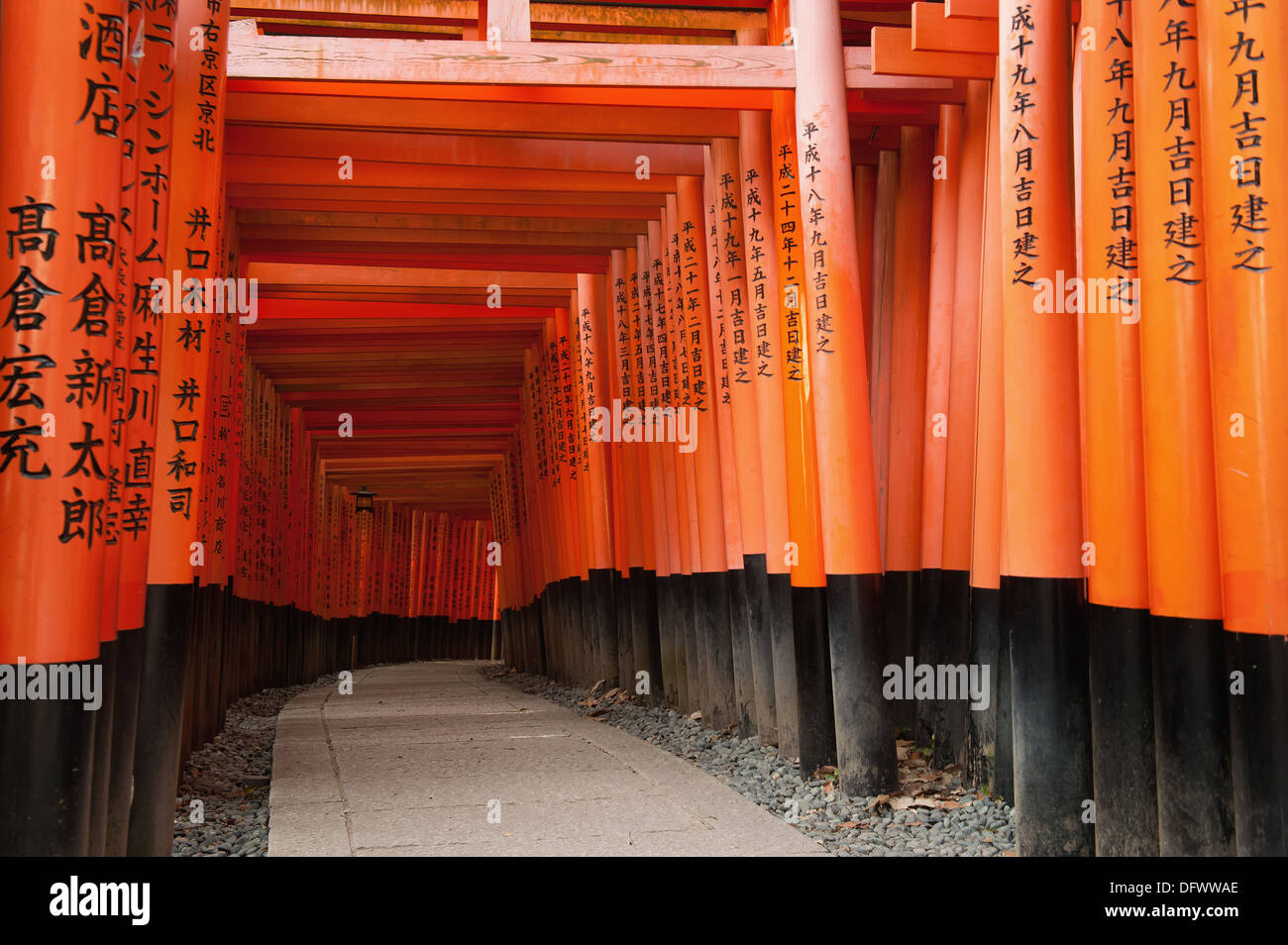 Tori rouge Gate au Sanctuaire Fushimi Inari à Kyoto, Japon Banque D'Images