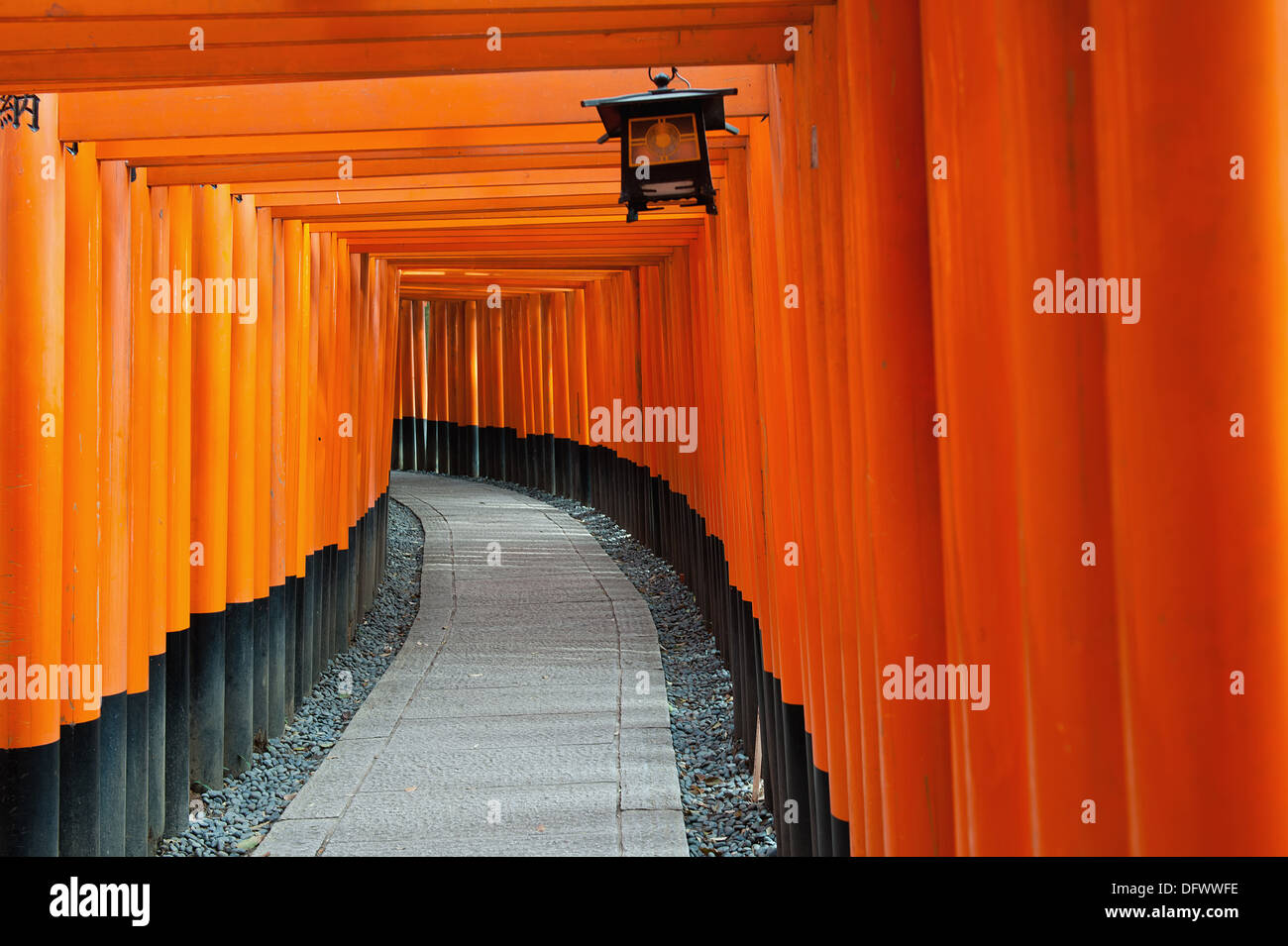 Tori rouge Gate au Sanctuaire Fushimi Inari à Kyoto, Japon Banque D'Images