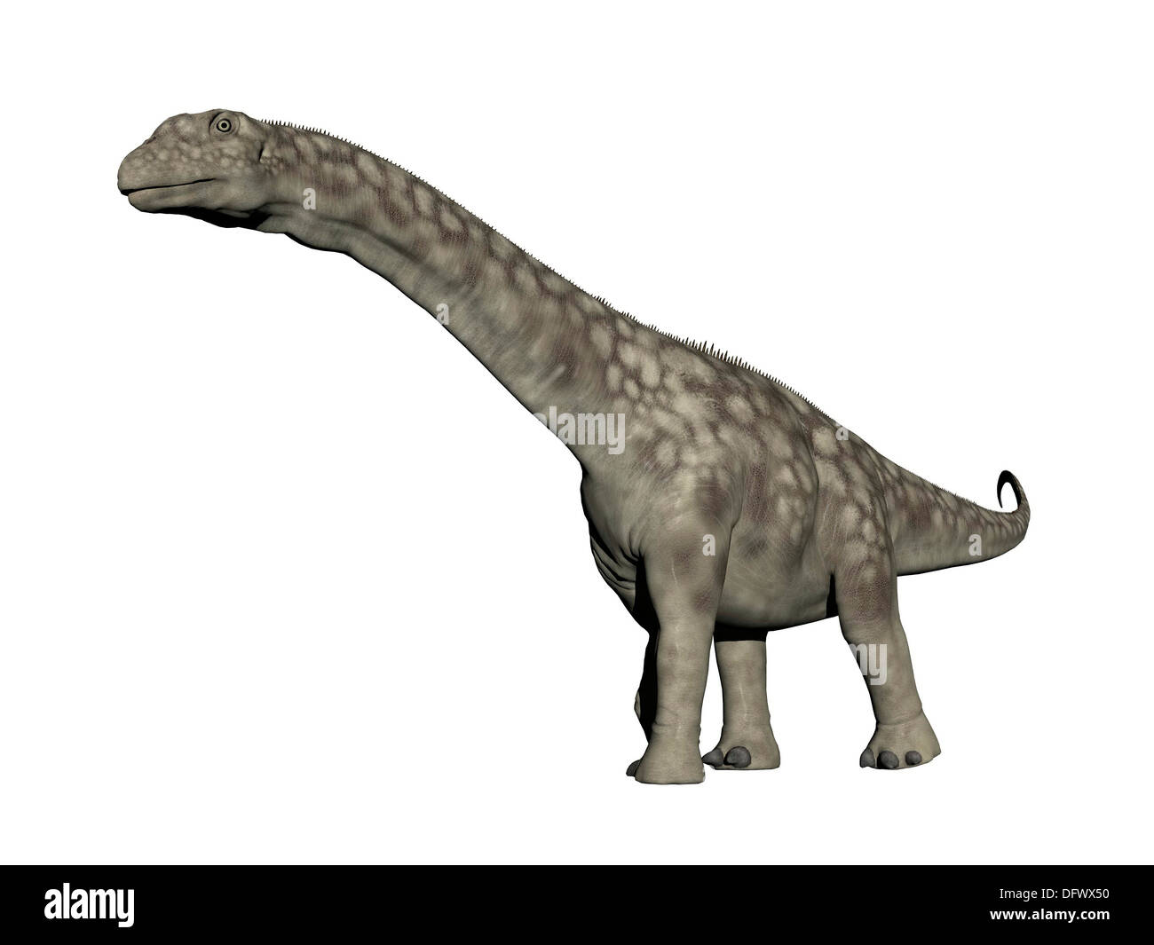L'Argentinosaurus dinosaure, fond blanc. Banque D'Images