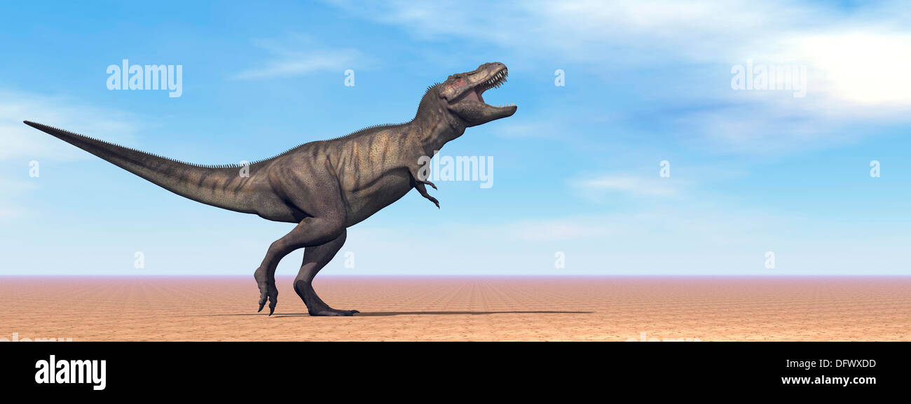 Dinosaure Tyrannosaurus Rex debout dans le désert par la lumière du jour. Banque D'Images