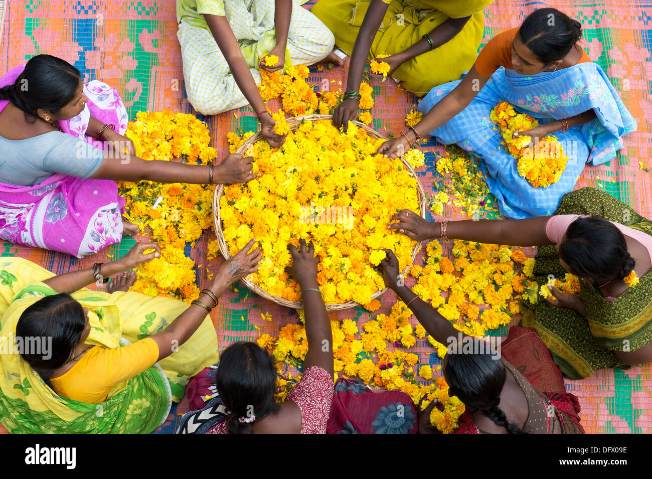 Les femmes du village de l'Inde rurale assis autour d'un panier de fleurs de souci de faire des guirlandes de fleurs. L'Andhra Pradesh, Inde Banque D'Images