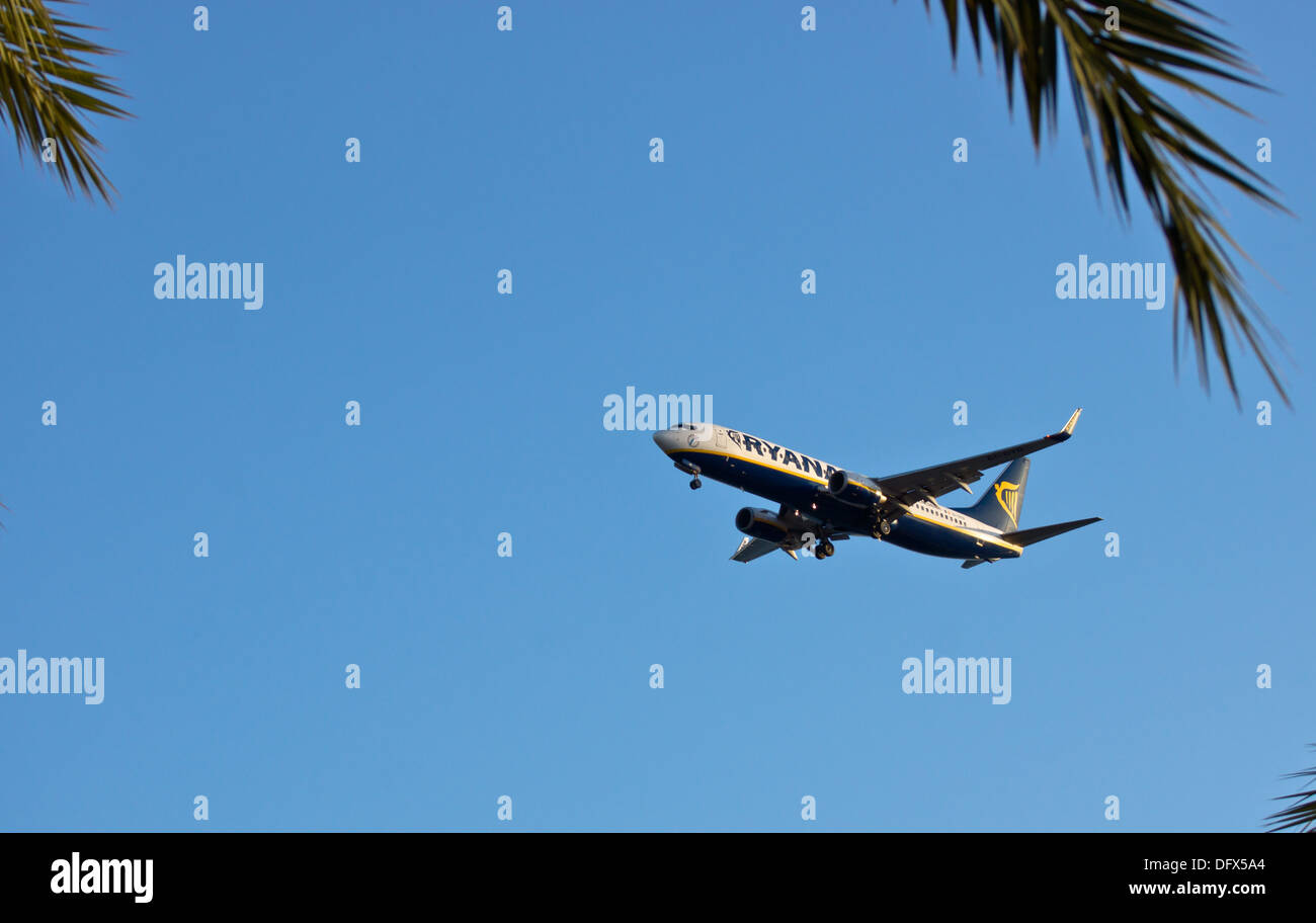 Un Boeing 737-800 Ryainair entrée en terre à l'aéroport de Murcia San Javier avec palm laisser au premier plan Banque D'Images