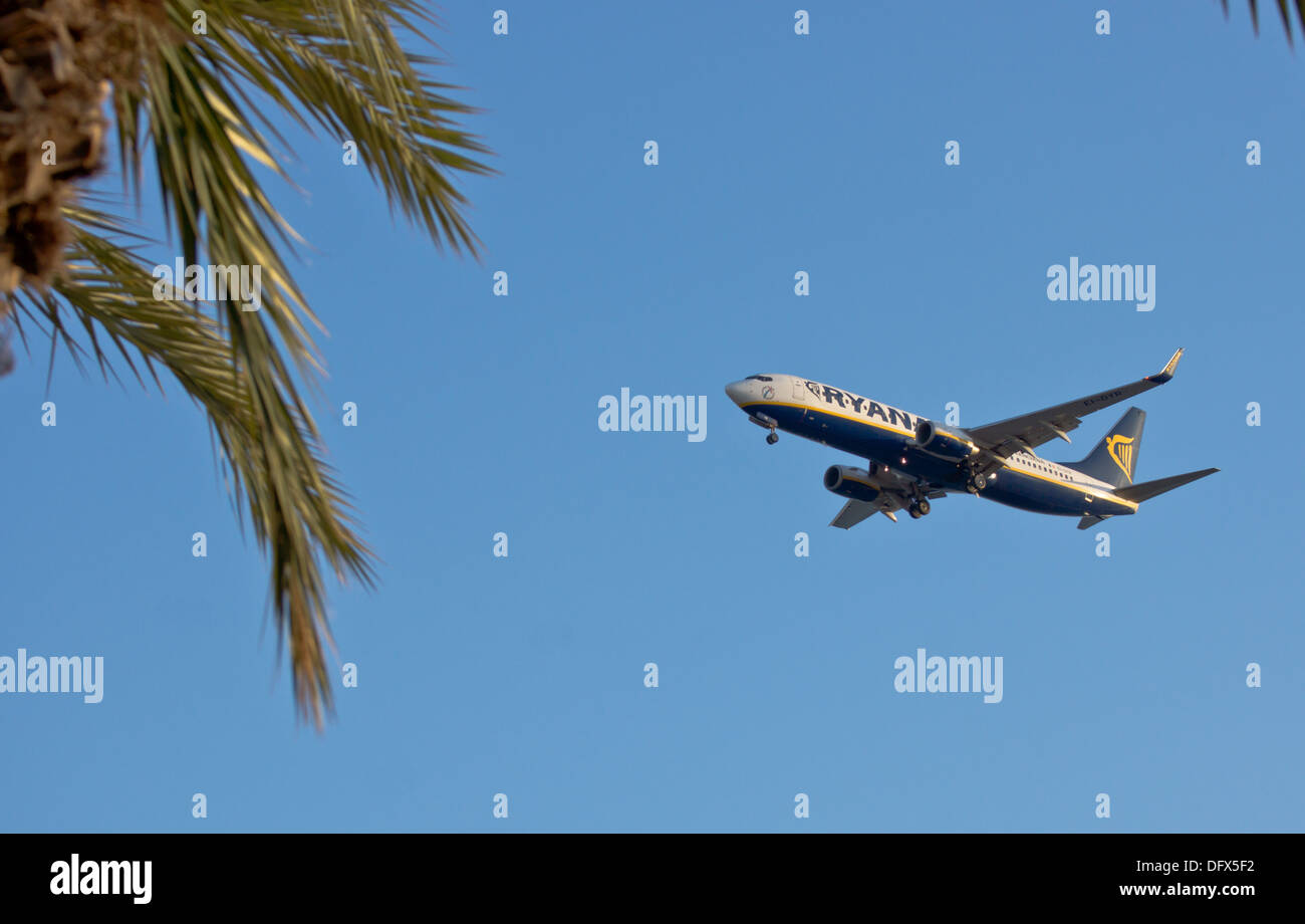 Un Boeing 737-800 Ryainair entrée en terre à l'aéroport de Murcia San Javier avec palm laisser au premier plan Banque D'Images