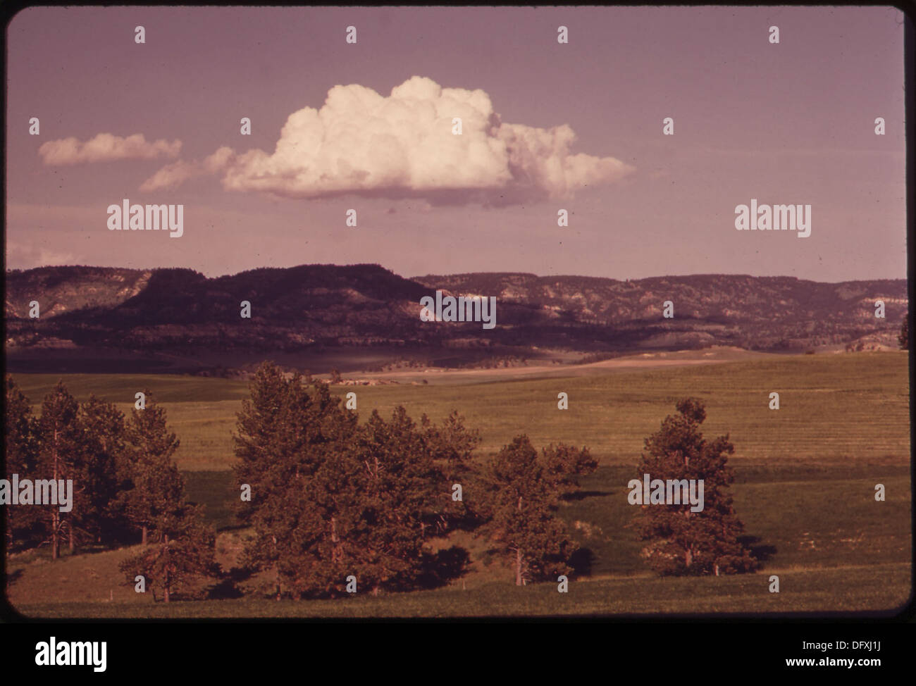 Cette photographie représente le terrain appartenant à la Westmoreland Coal Company s'élevant au-dessus des champs de ferme et de ranch à proximité dans le bassin de Sarpy. L'image met en évidence les veines de charbon sous la terre. Banque D'Images
