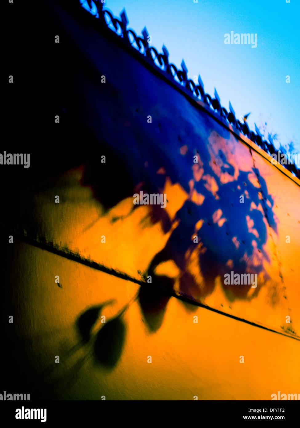 L'ombre des feuilles sur un mur Banque D'Images