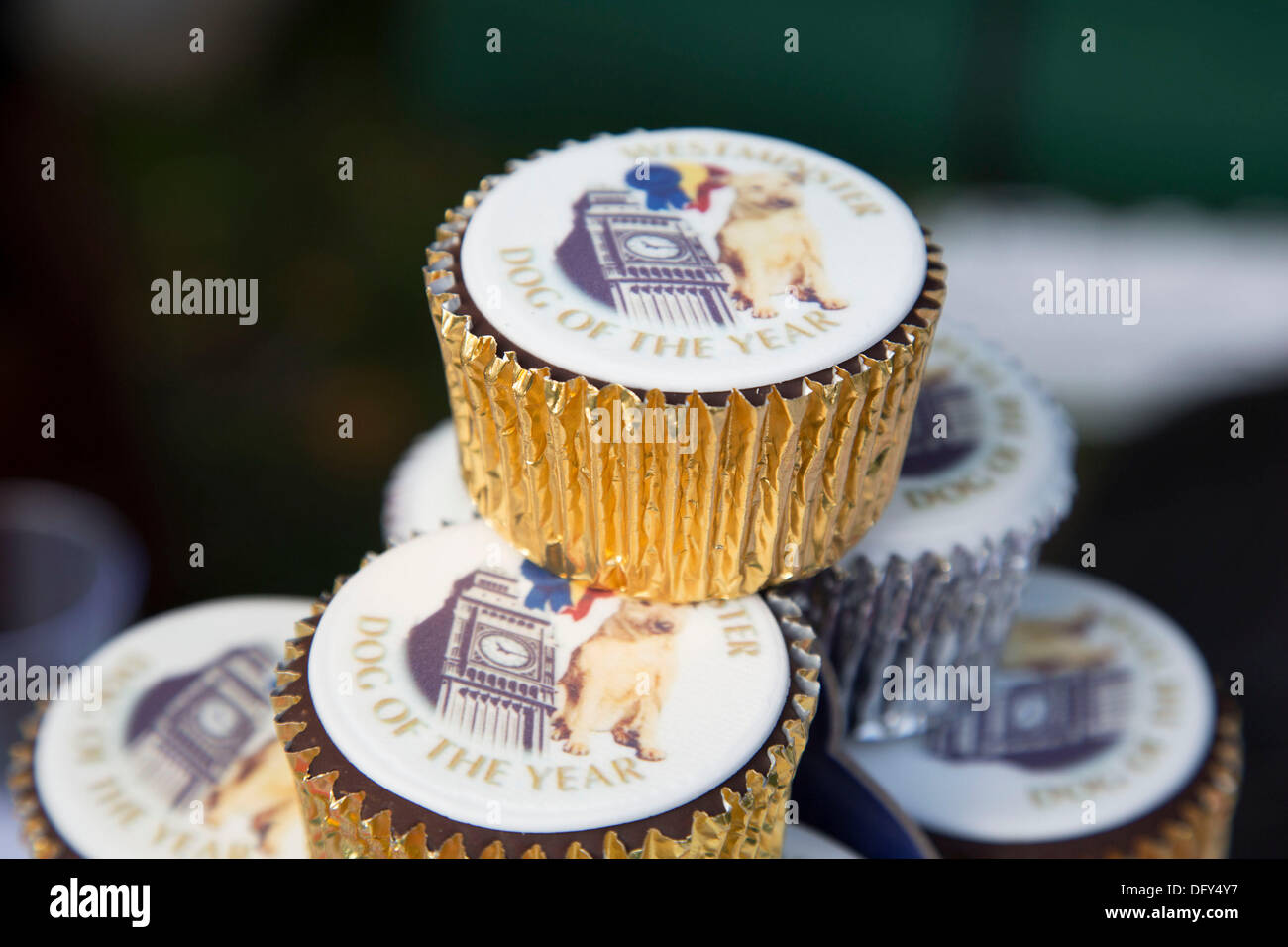 Londres, Royaume-Uni. Jeudi 10 octobre 2013. Cupcakes. Les députés et leurs chiens en compétition dans la Westminster Dog de l'année concurrence célèbre le lien unique entre l'homme et le chien - et vise à favoriser la gestion responsable des propriétaires de chiens. Crédit : Michael Kemp/Alamy Live News Banque D'Images