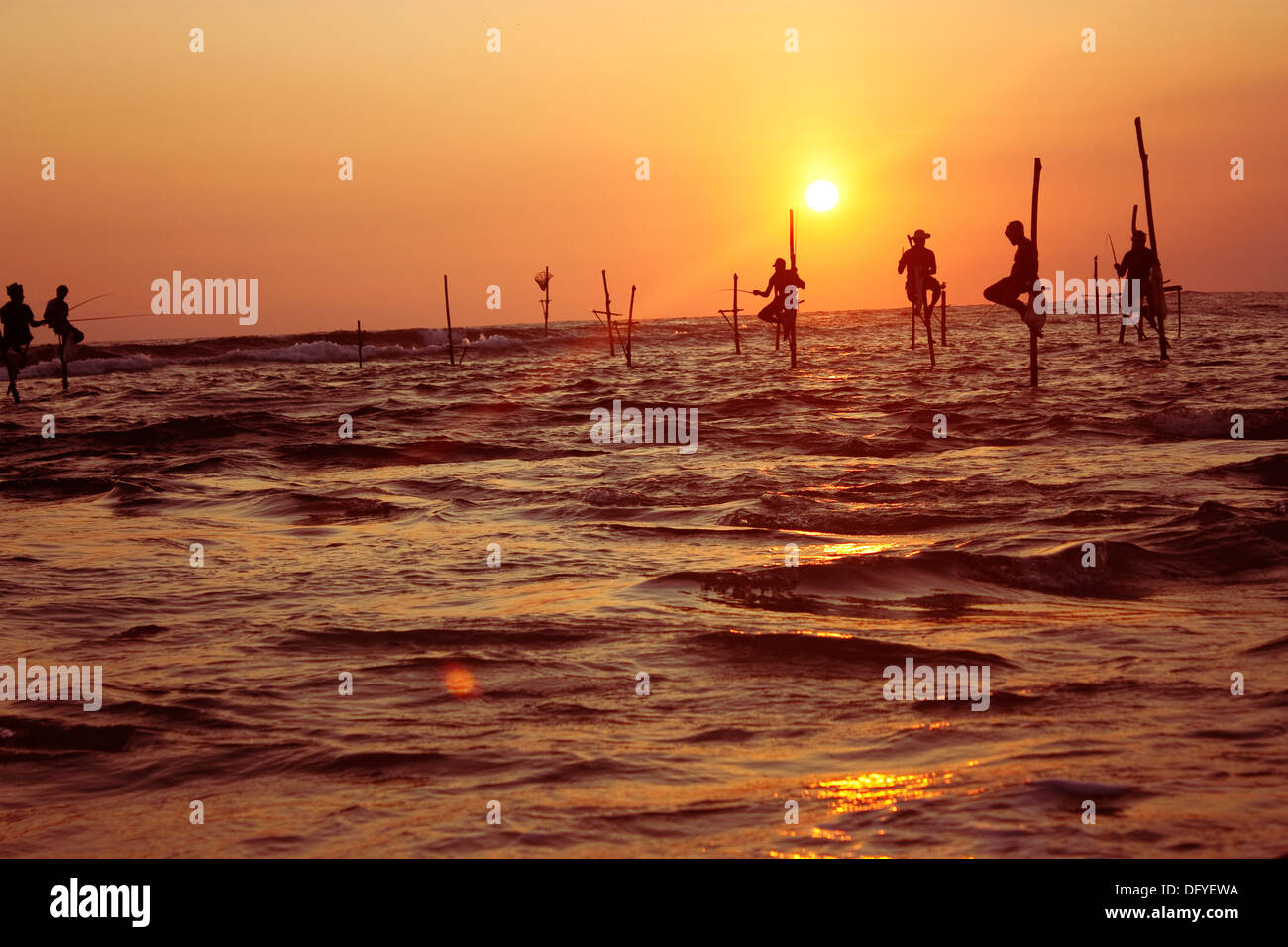 Silhouette de pêcheurs sri-lankais de pêche sur pilotis au crépuscule. Pêche sur pilotis est une technique de pêche uniques à cette région Banque D'Images