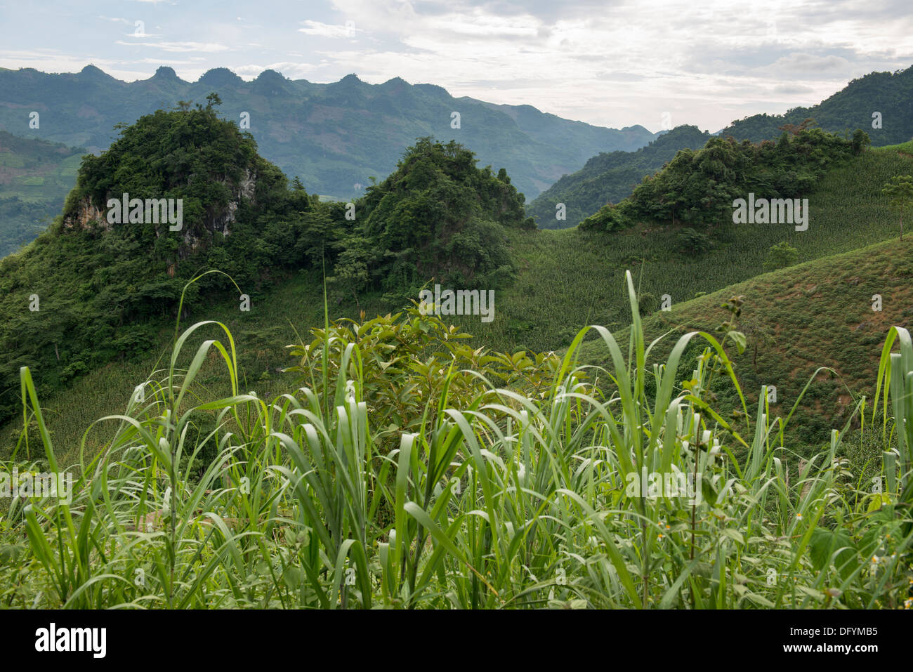 De paysage sur le chemin à Bac Ha ville, de nombreuses tribus, la ville natale de la minorité. Bac Ha, Vietnam Banque D'Images
