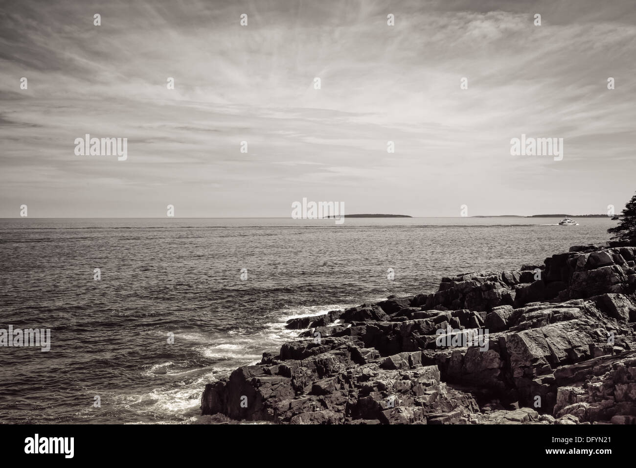 Ce littoral est extrêmement robuste dans le voisinage de l'Thunderhole à Acadia National Park. Banque D'Images