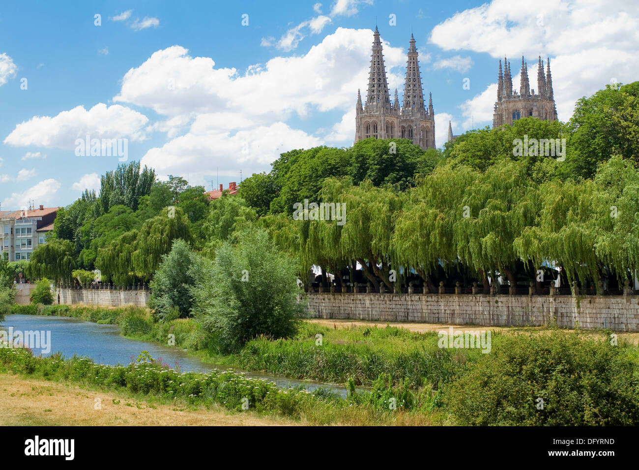 Avec la rivière Arlanzon Burgos Cathédrale gothique en arrière-plan, Burgos, Castille et Leon. Espagne Banque D'Images