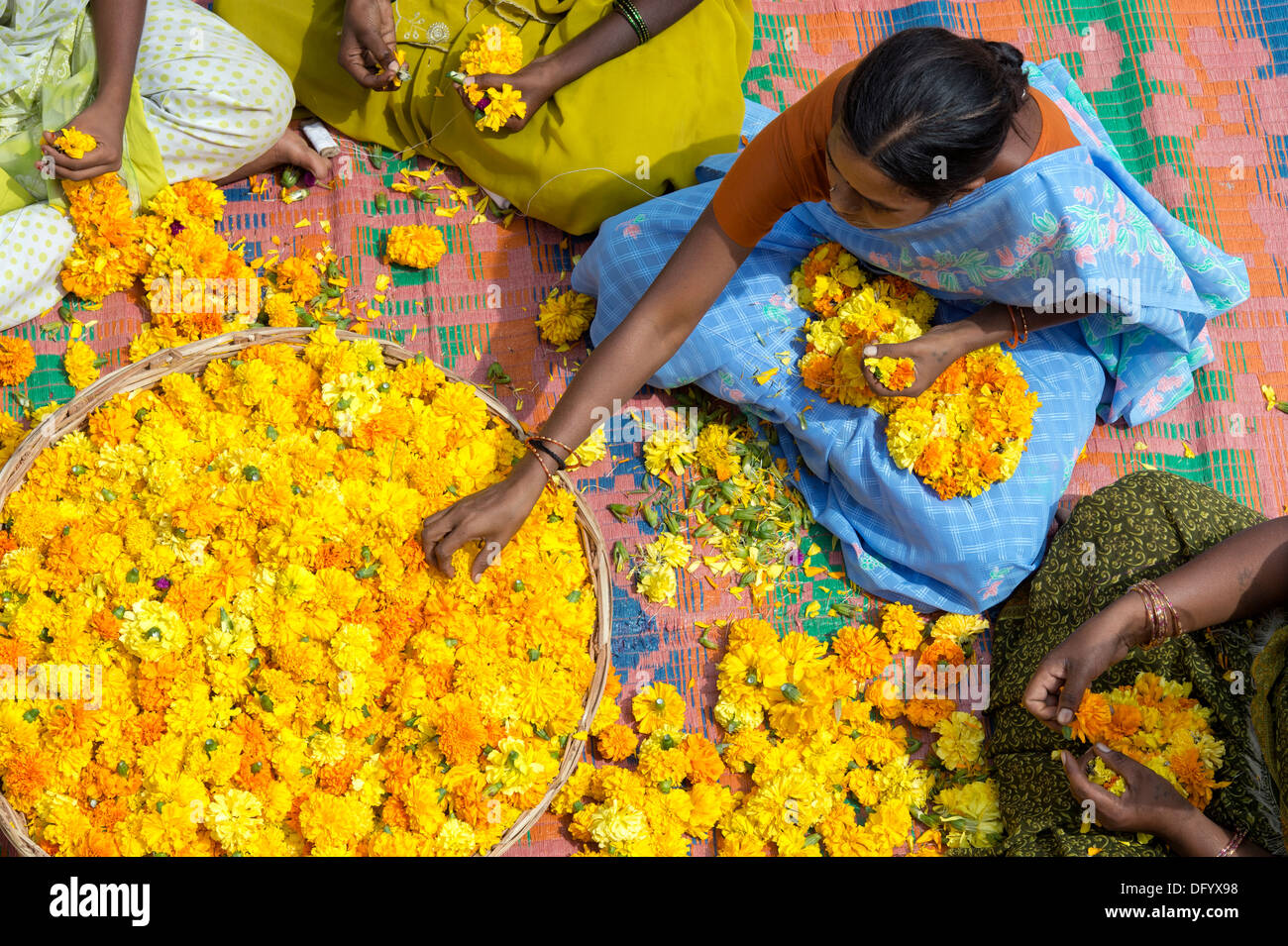 Les femmes du village de l'Inde rurale assis autour d'un panier de fleurs de souci de faire des guirlandes de fleurs. L'Andhra Pradesh, Inde Banque D'Images